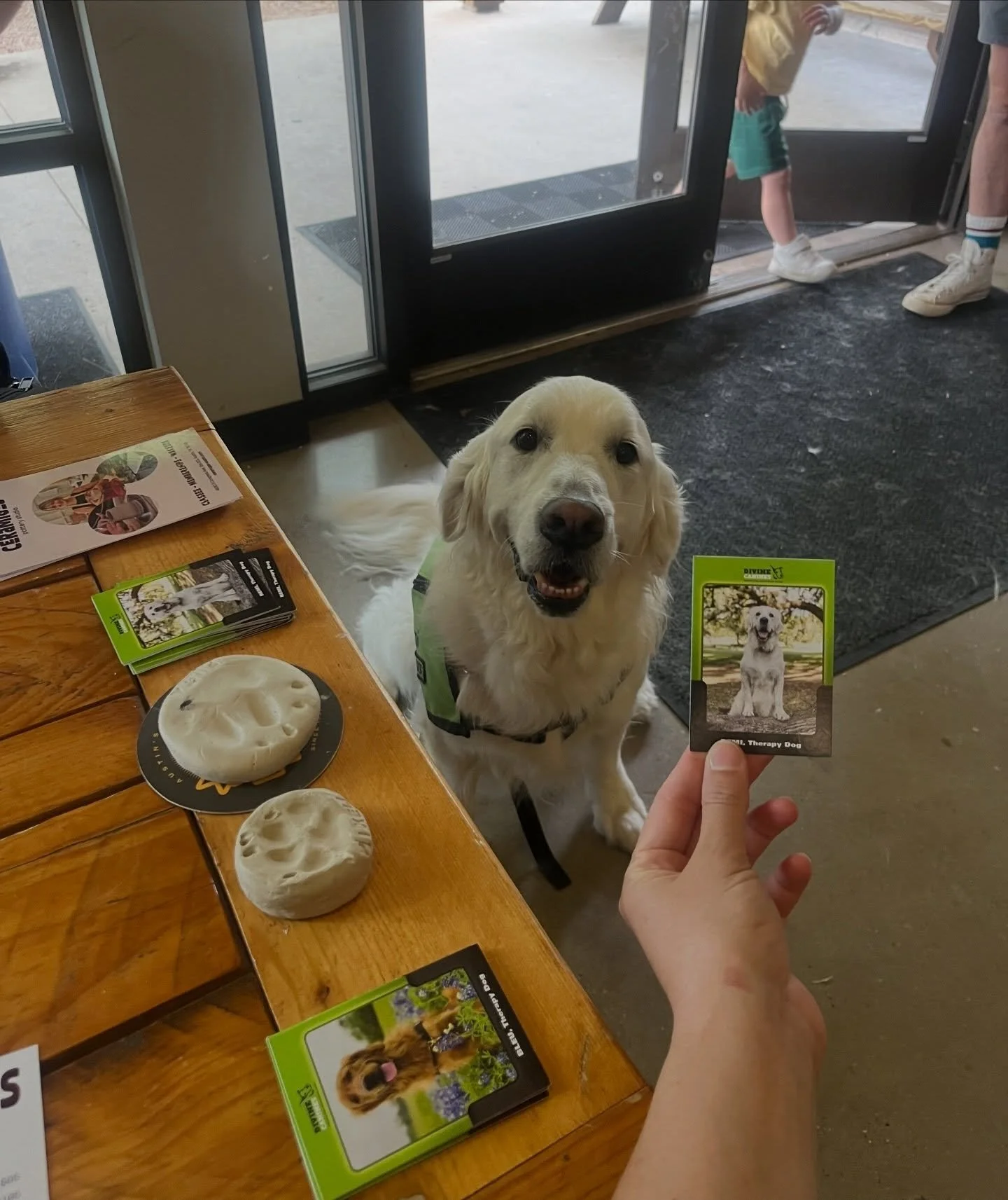 Paws-itively one of the best events of the year 🐶 🍻

Thank you to everyone who joined us at @liveoakbrewing for Muddy Paws &amp; Pints to celebrate the amazing work of @divinecaninestexas!

&mdash;
#barksforbeers2026 #supportdogs #dogart #austinbre