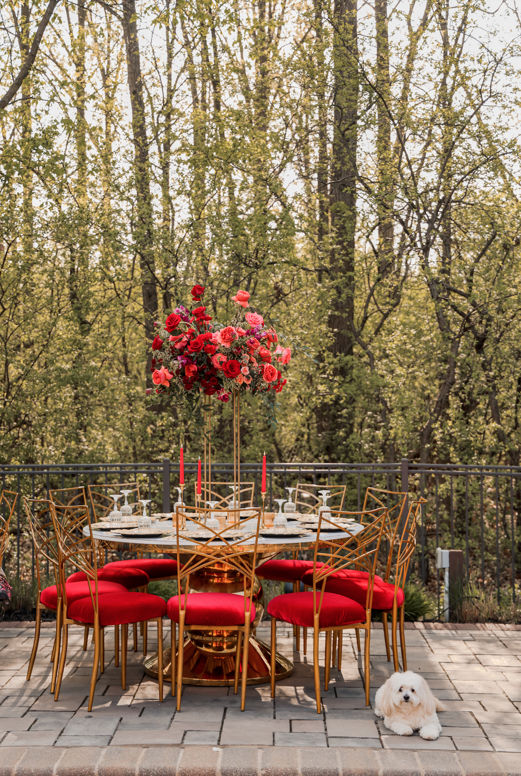 Screen Shot 2024-07-30 at 3.04.51 PM.png