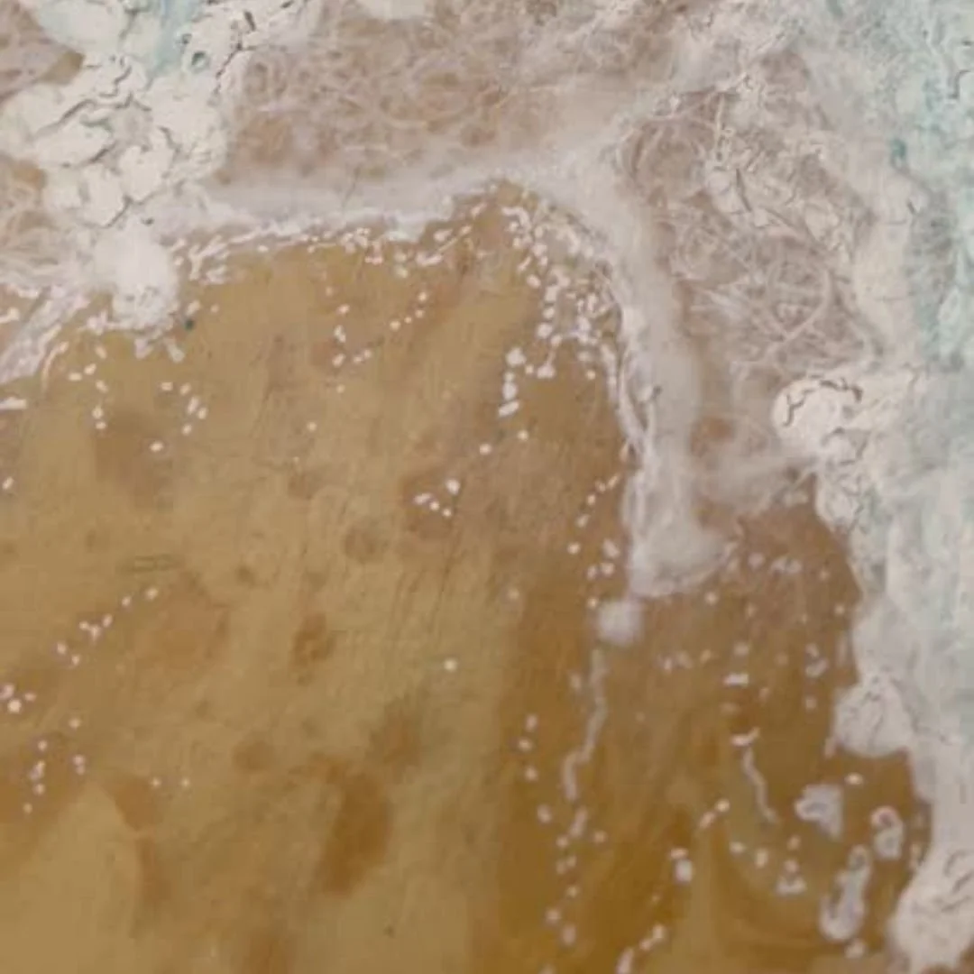 Ebb and flow 30 x 23 painting5.jpg