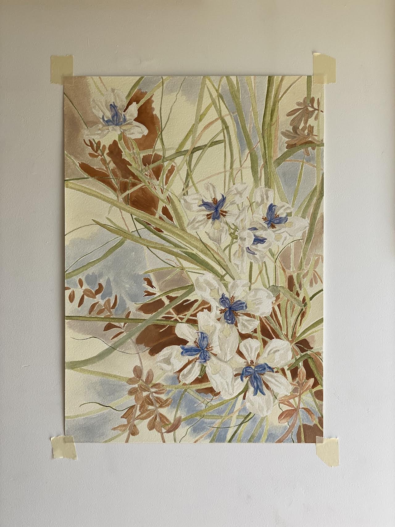 Wild Iris.jpg