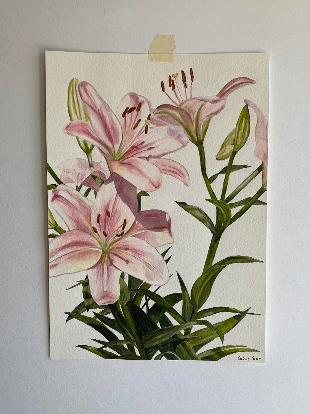 efflorescence.jpg