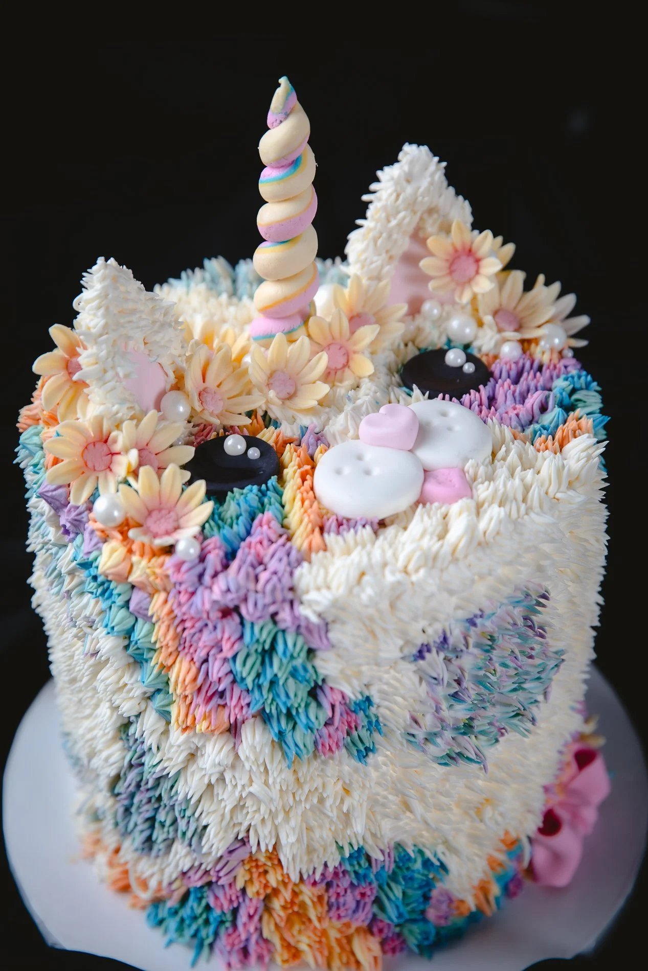 Single Tier - Rainbow Fluffy Kitty-12.jpg