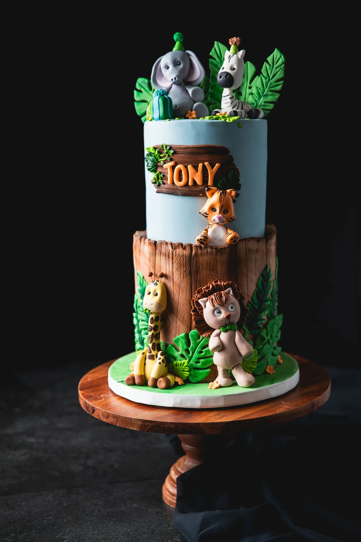 2 Tier - Safari Party-20.jpg