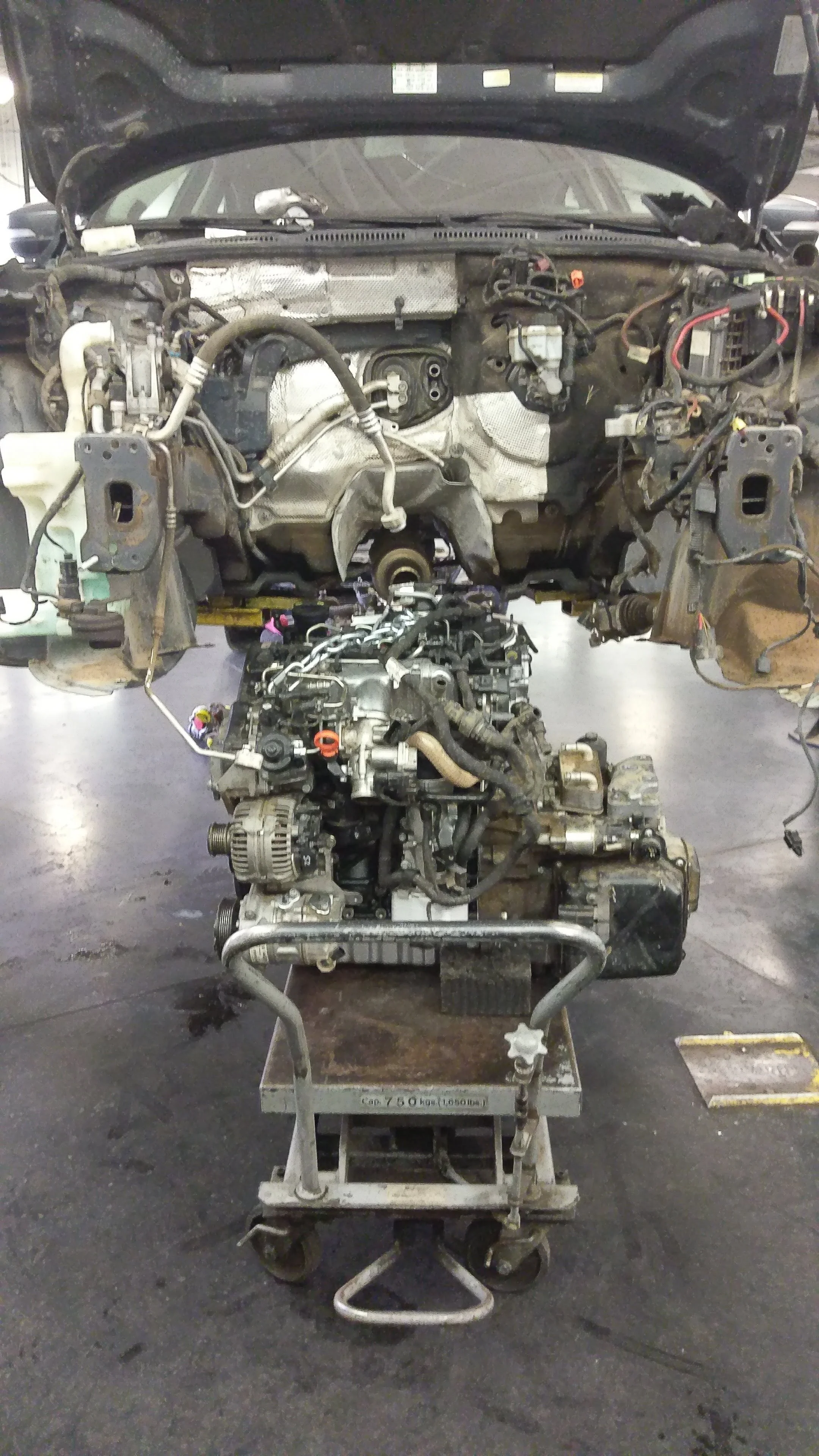European Auto Mechanic and Repair - CJAA Engine
