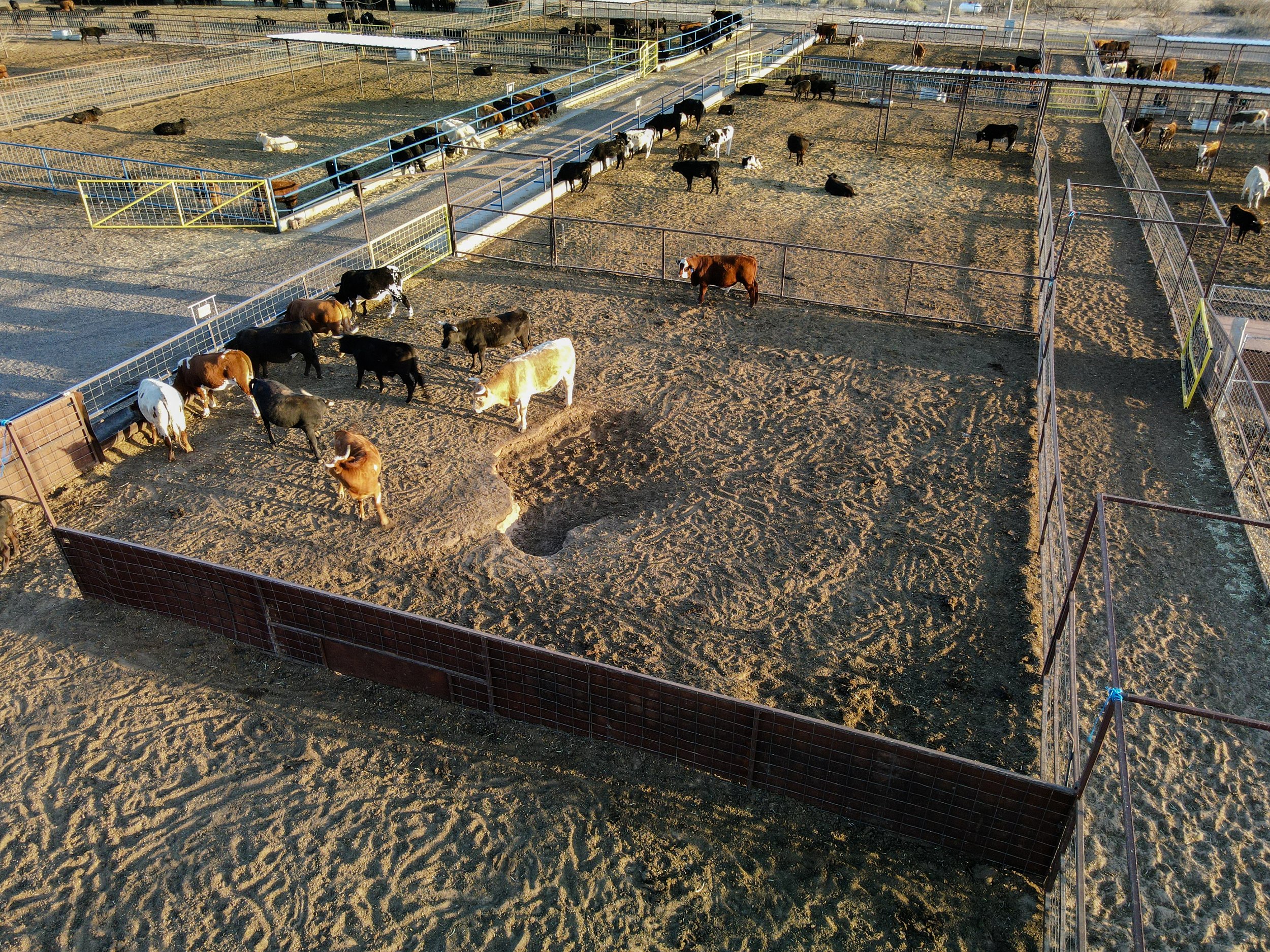 DJI_0041.jpg