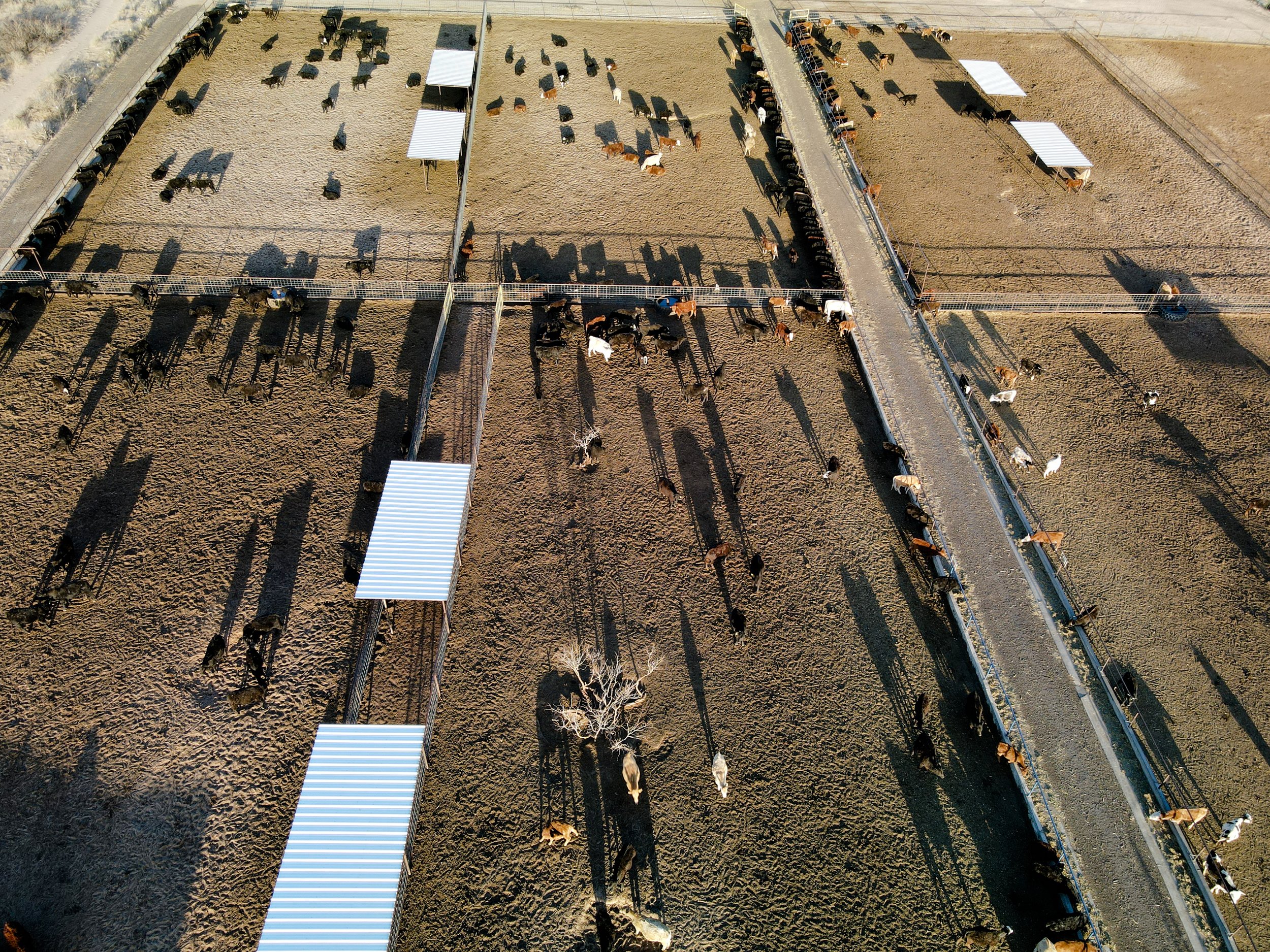 DJI_0026.jpg