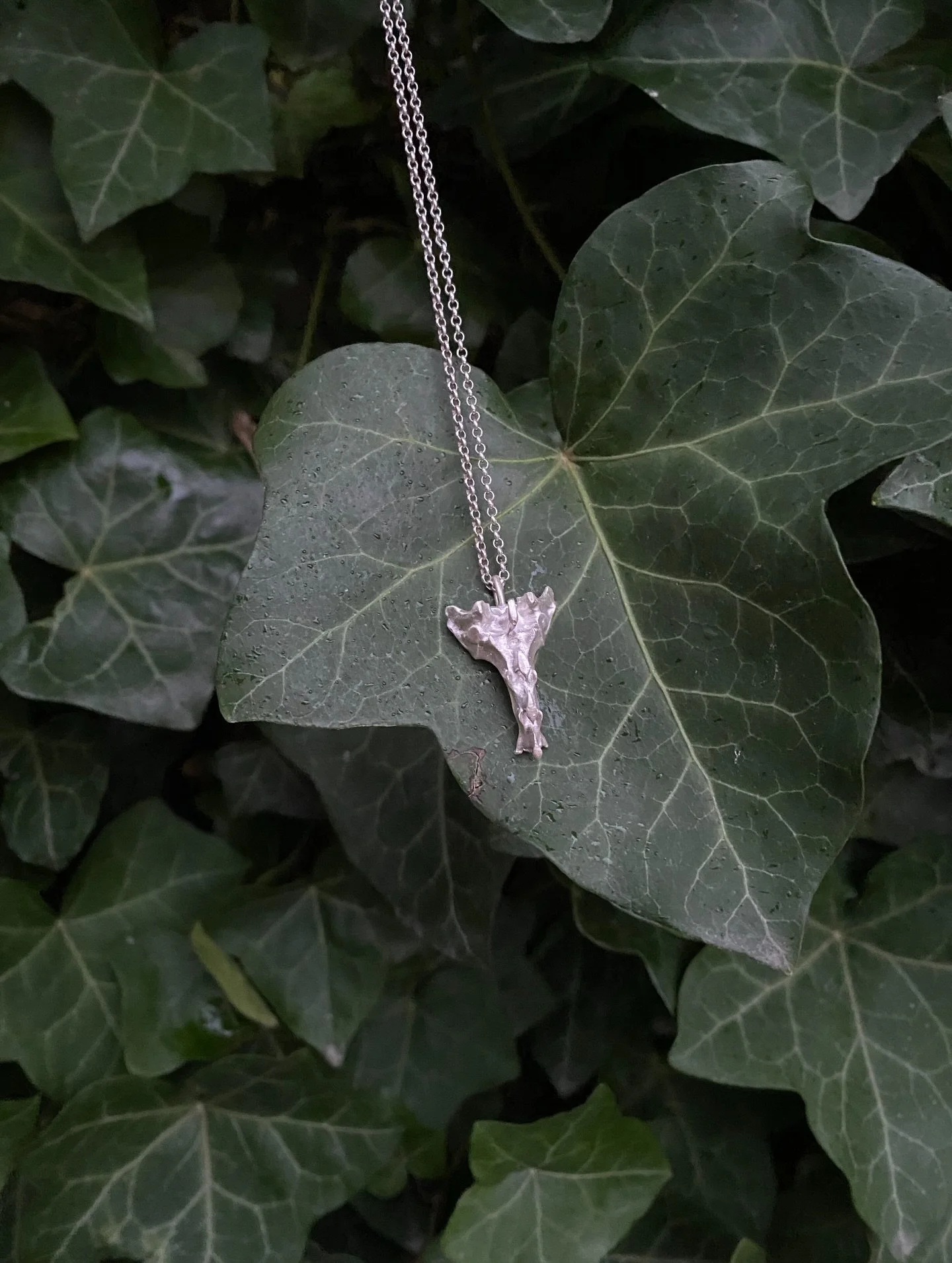 Downscaled rabbit sacrum pendant in sterling silver.

Before I left NZ, I cast two life-sized rabbit sacrum in bronze. This cast bone has a little notch in the middle that seemed to ask for an inset stone, so I set a small purple CZ in one of them, a