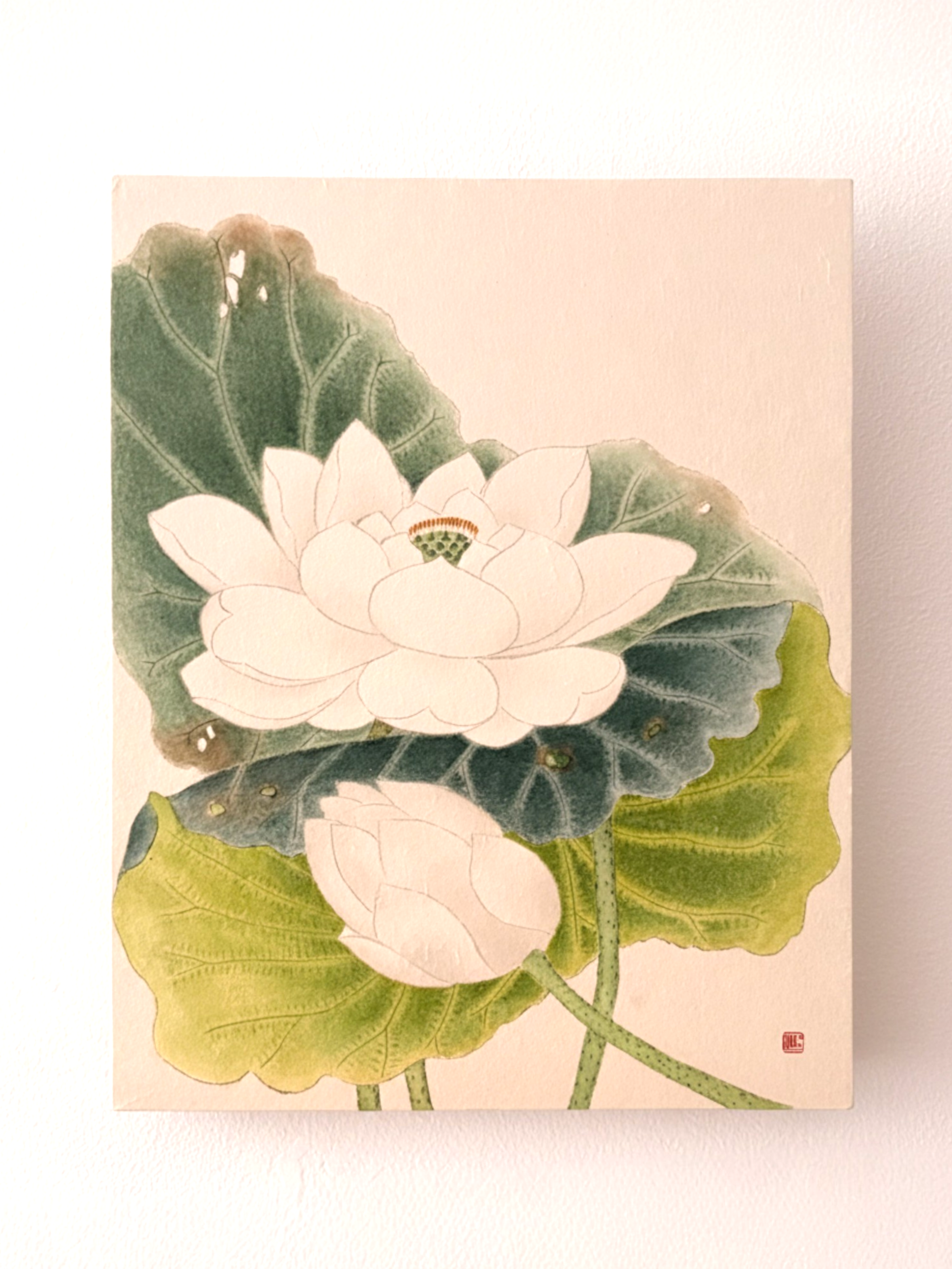 White Lotus