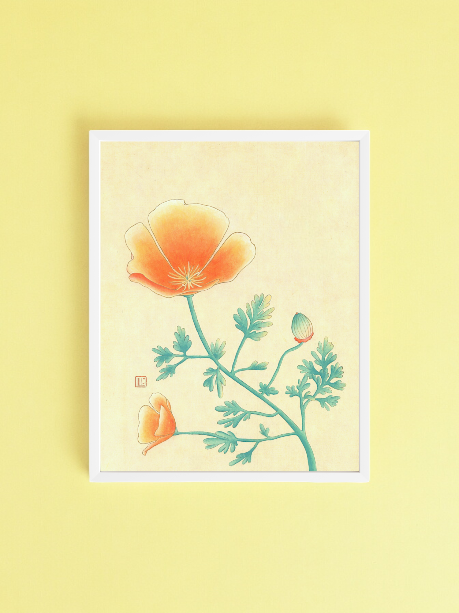 California Poppy 11x14" Print
