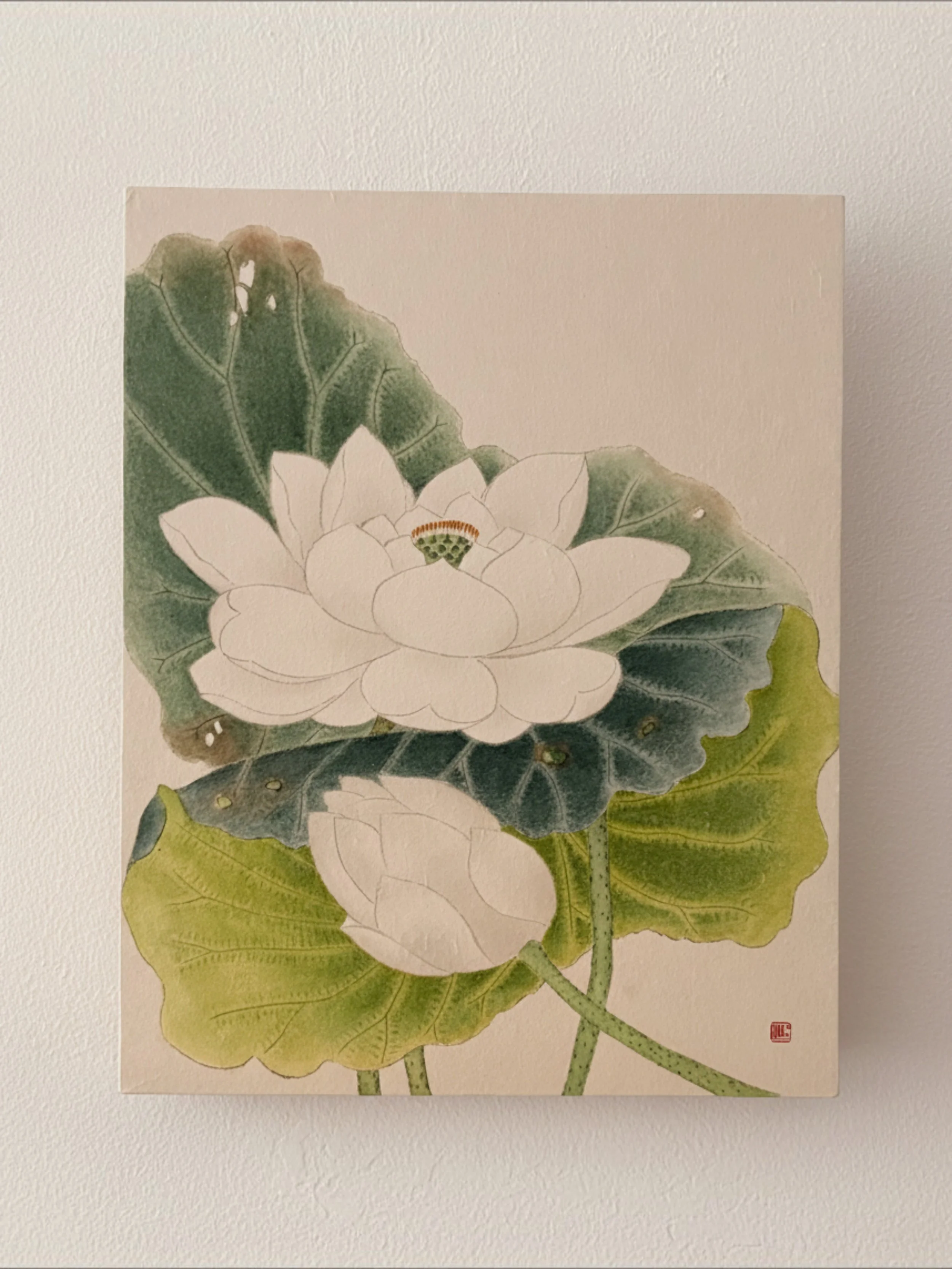 White Lotus - original.jpg