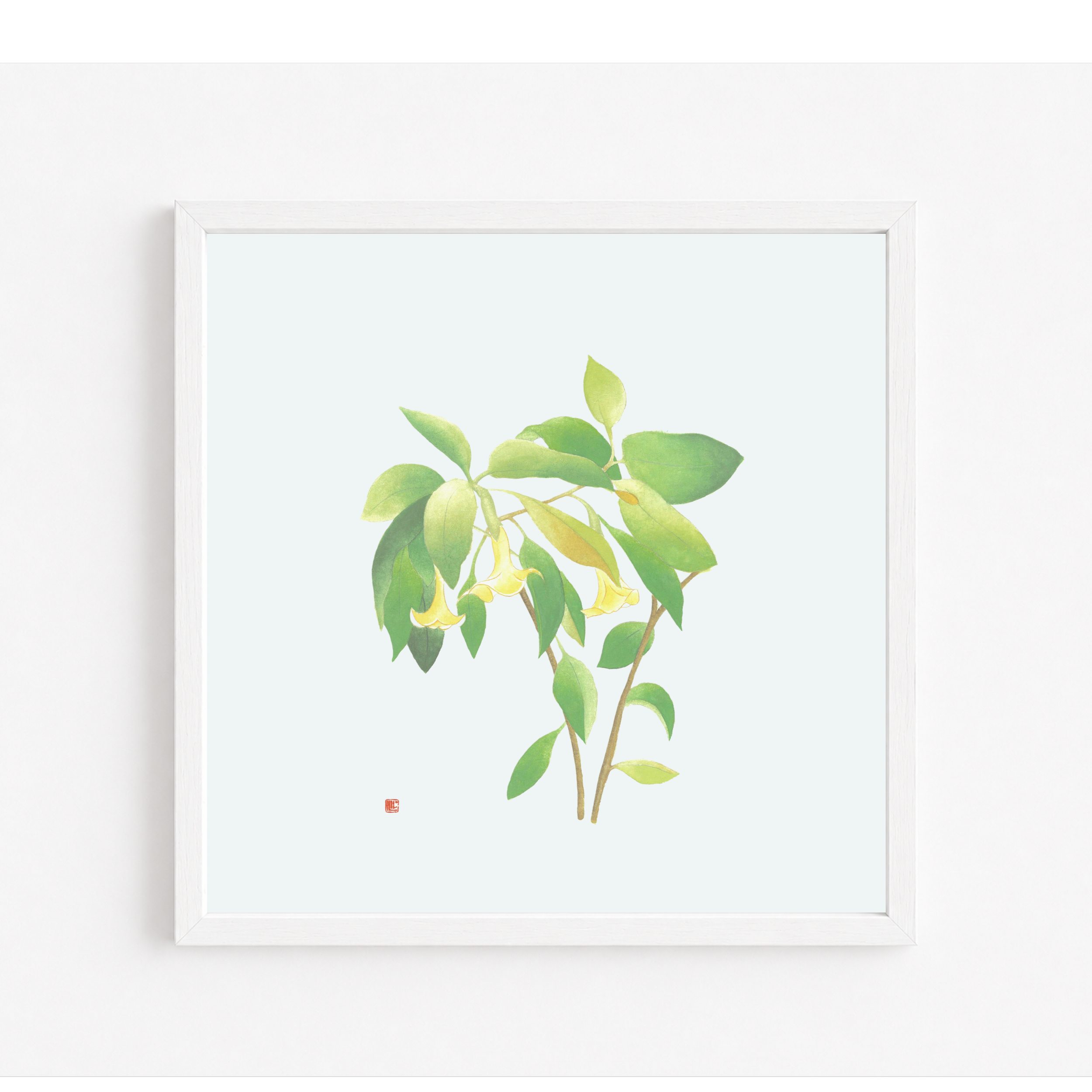 Angel's Trumpets 10x10" Print