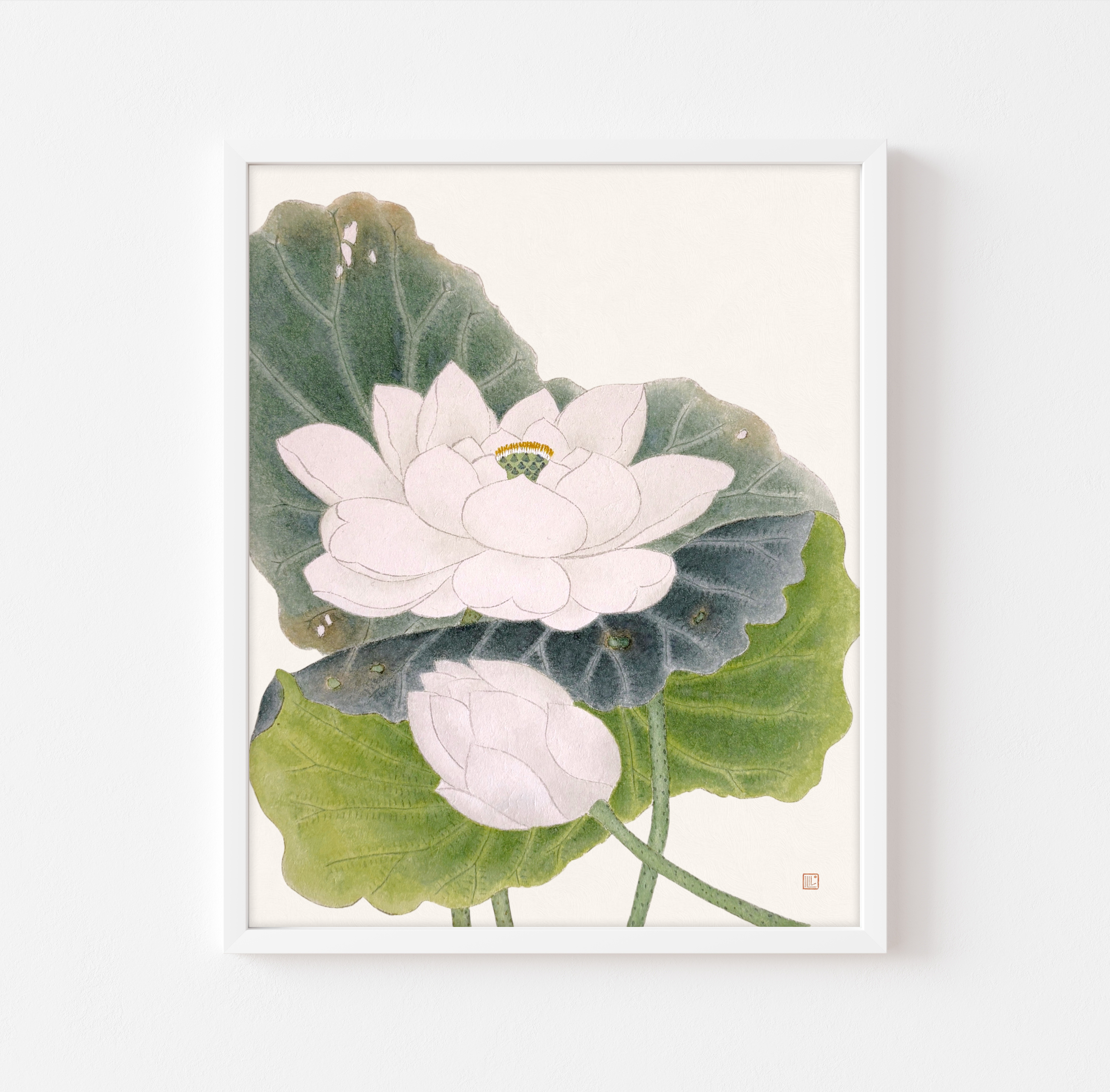 White Lotus - framed.png