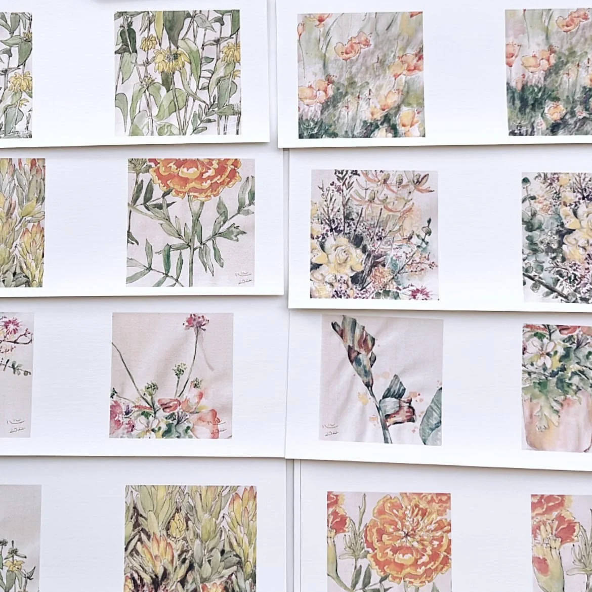 8D0C7429-81EE-4DA0-A8EE-B584272869A6 2.JPG