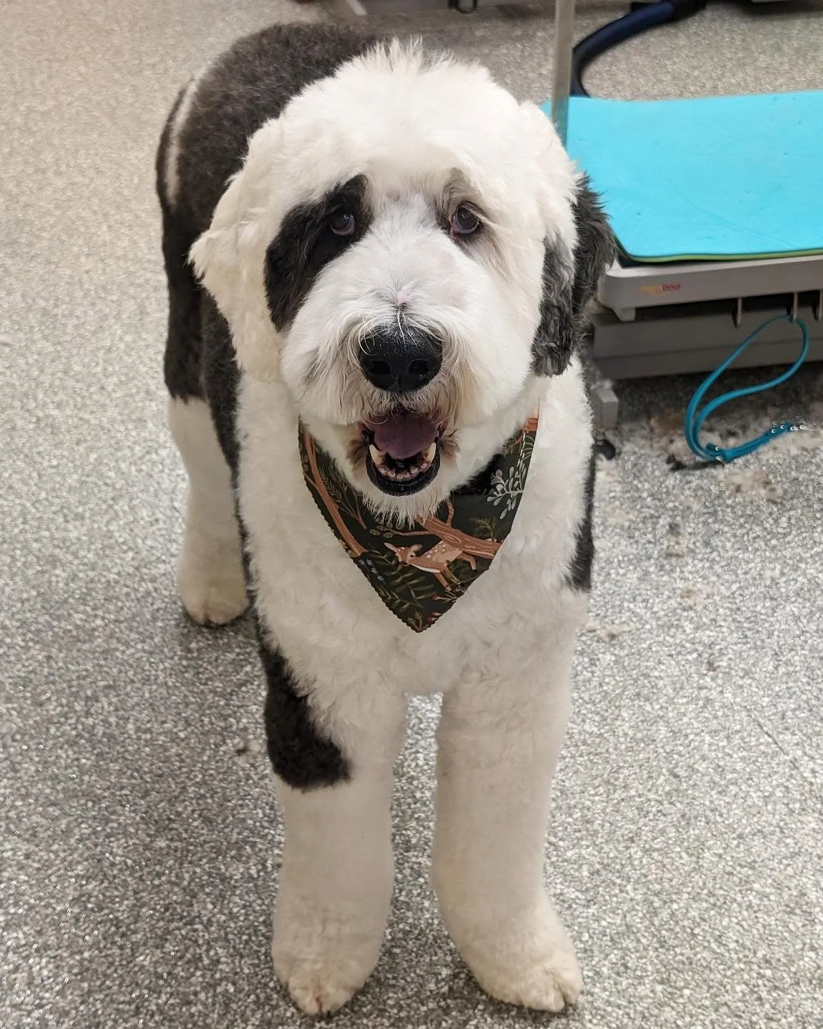 I just freakin love this giant boy