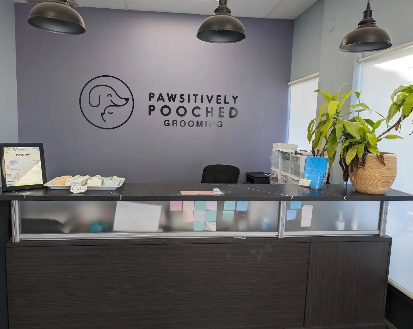 End of an era! I've had the great privilege of working at Pawsitively Pooched for amost 7 years, but it is time to say goodbye 💙 
I've worked with some amazing groomers and the best clients ever!
Thanks so much to the awesome team for the support an