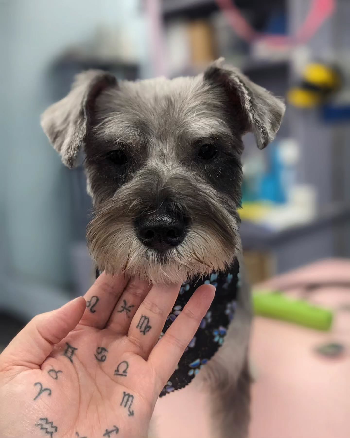 Sweetest lil' ol' lady 🧼⭐