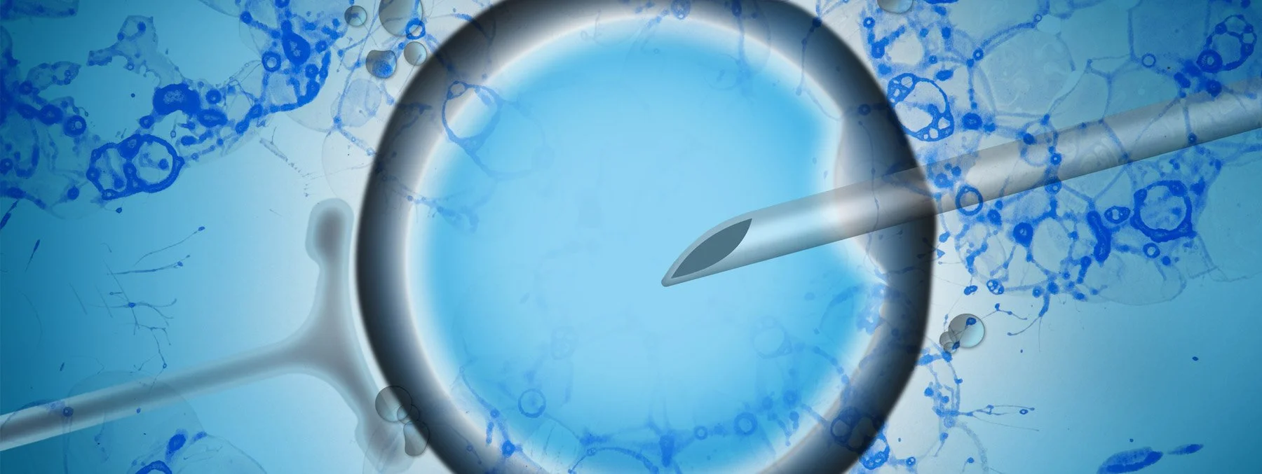 BIOTECH-09.jpg
