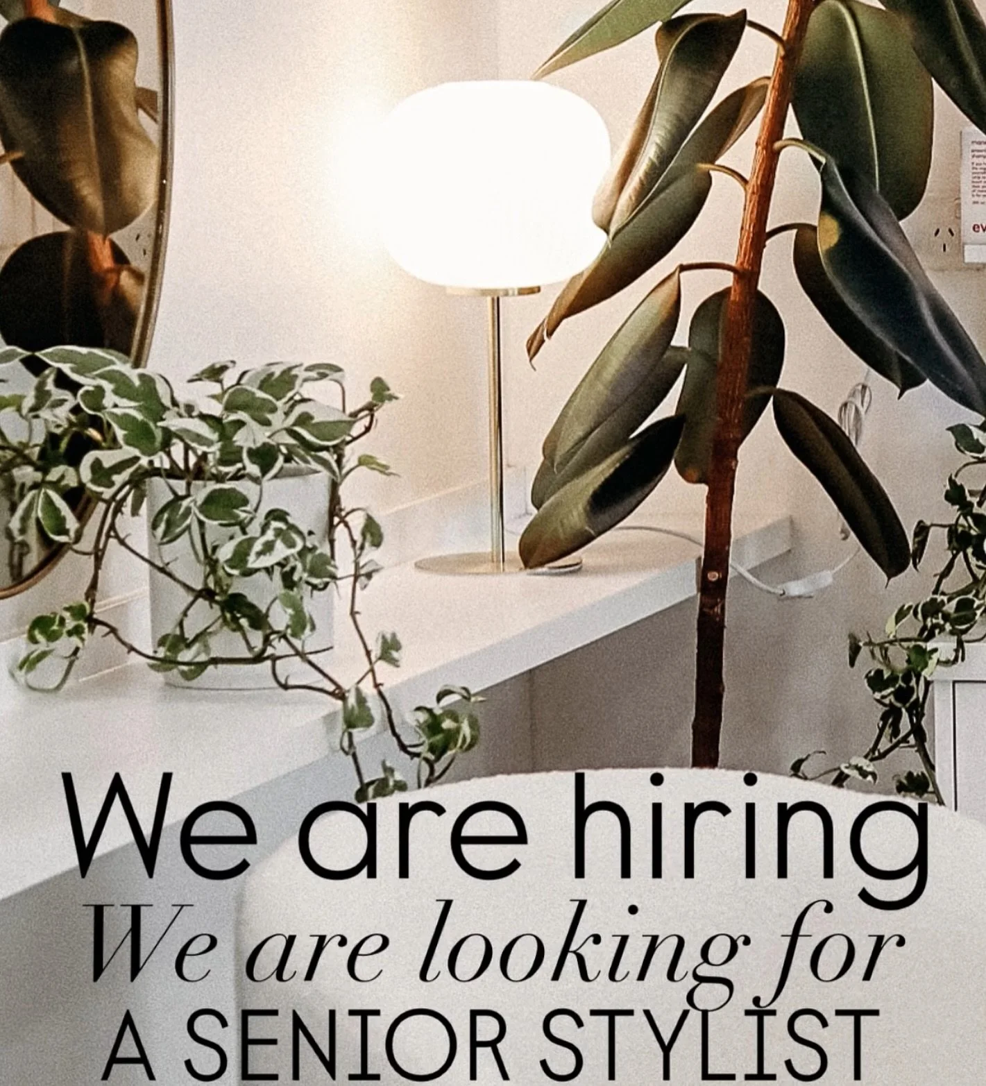 We seeking a Senior Stylist to join our team 🫶🏼

We&rsquo;re looking for someone ready to bring more than just great hair to the floor ~ 
This is you if you  thrive in a supportive, friendly culture and value both creativity &amp; connection

If yo