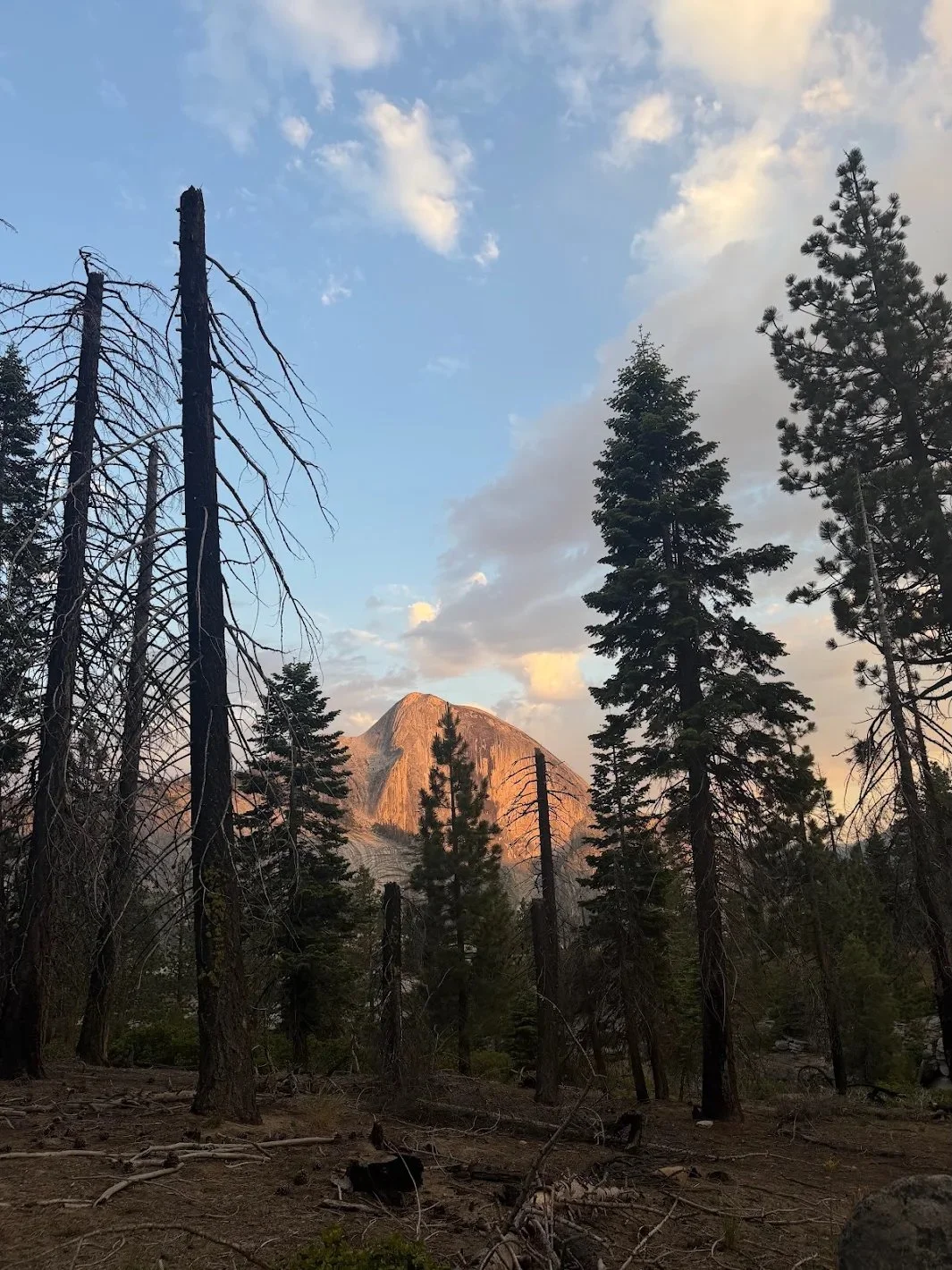 best view of half dome copy.jpg
