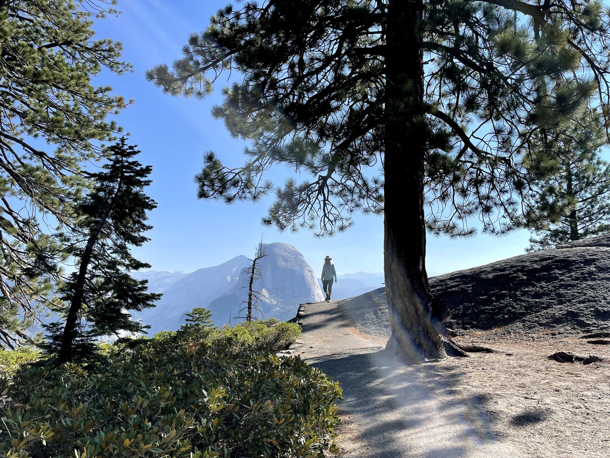 Halfdome Guide.jpeg