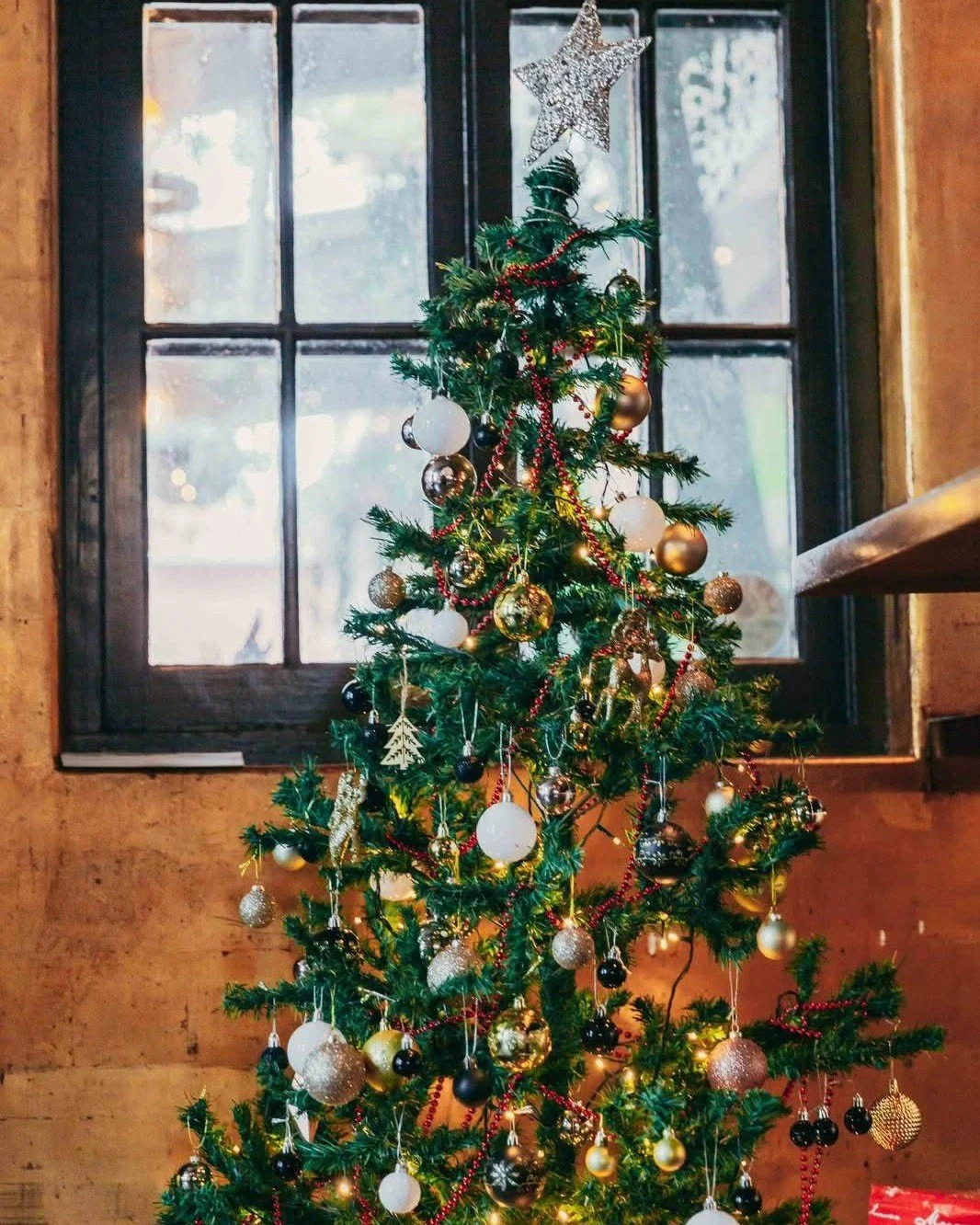 Joyeux No&euml;l from our family to yours

❤️ Libertine