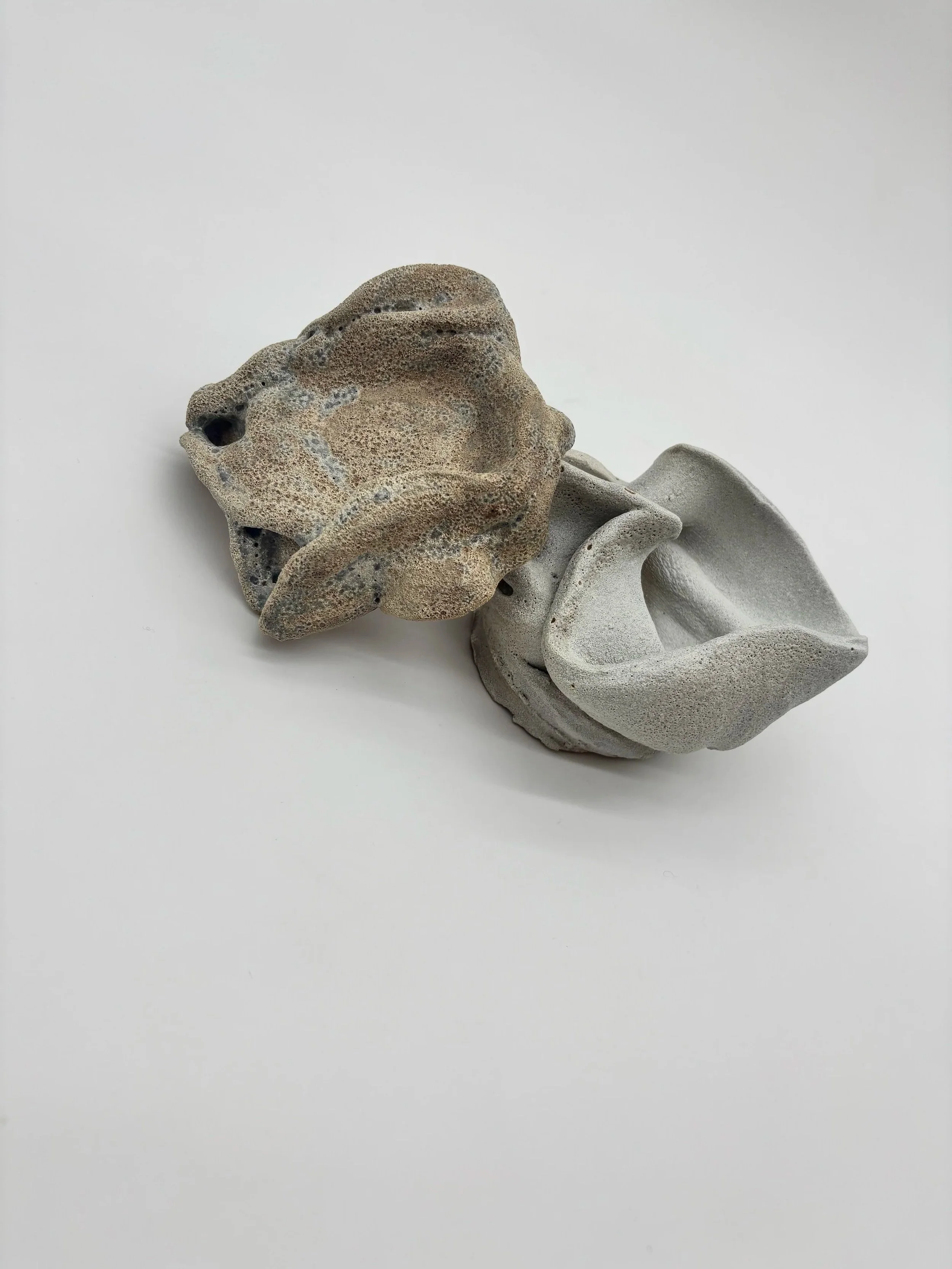 Abstract, naturally shaped rock formations with textured surfaces against a white background.