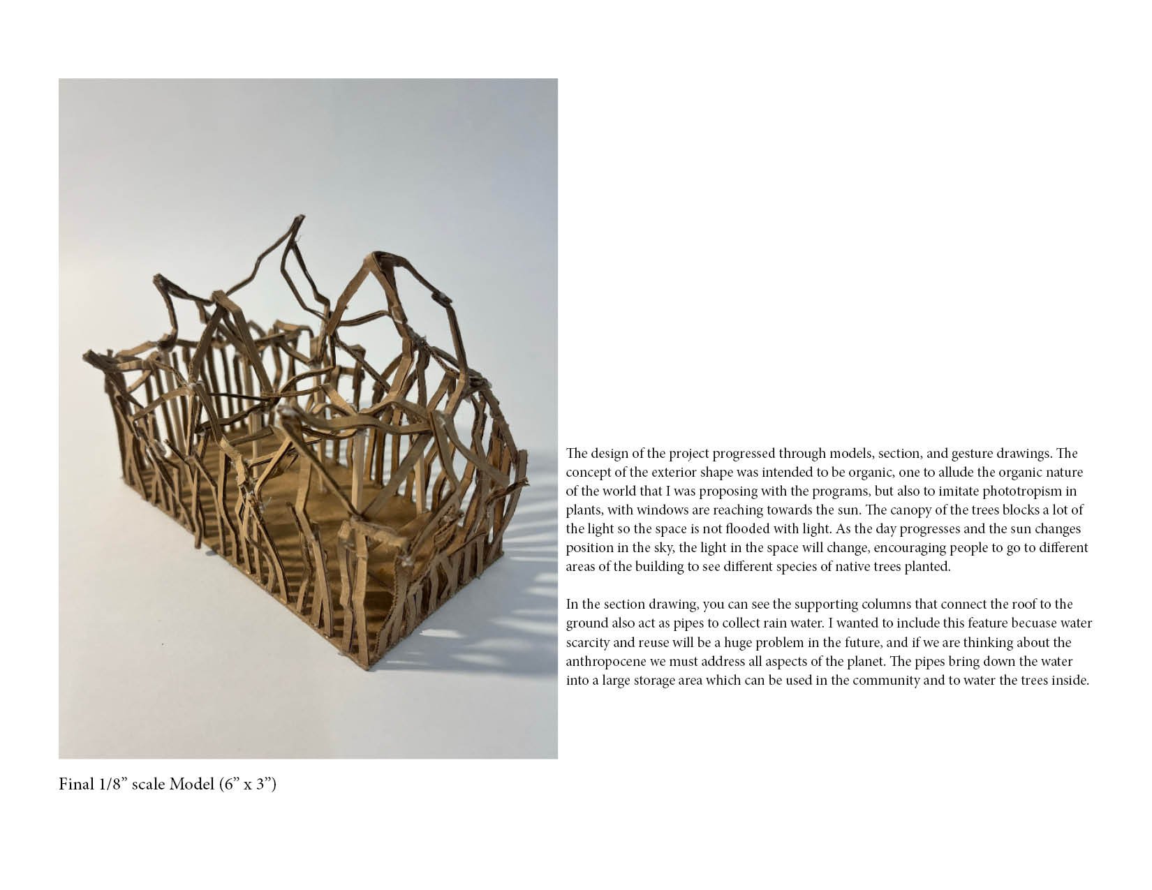 A detailed model of an eco-friendly building with an open framework and tree-like structures, accompanied by descriptive text about sustainable architecture and water collection systems.