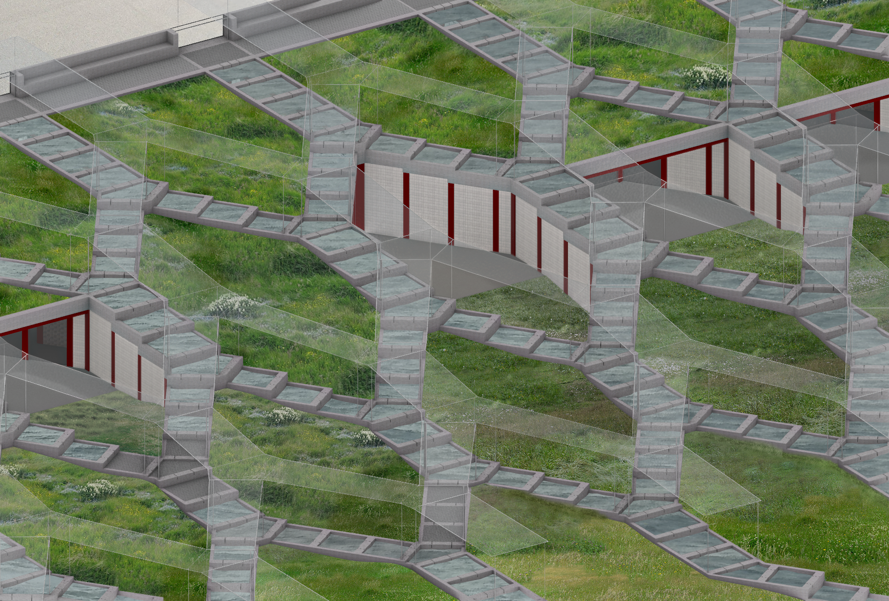 birds-eye-final.cca.1.png