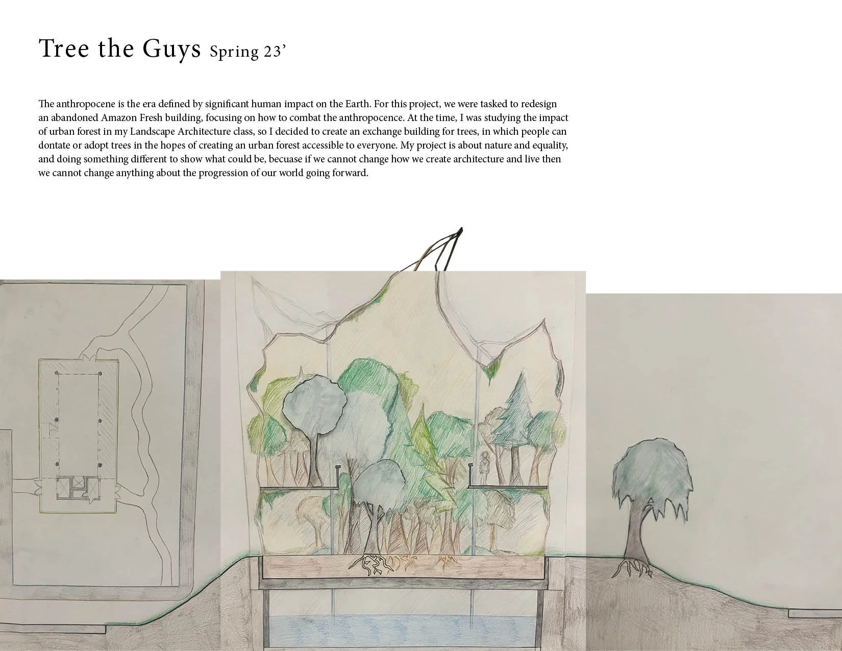 A hand-drawn architectural design and landscape plan featuring trees and planting areas.