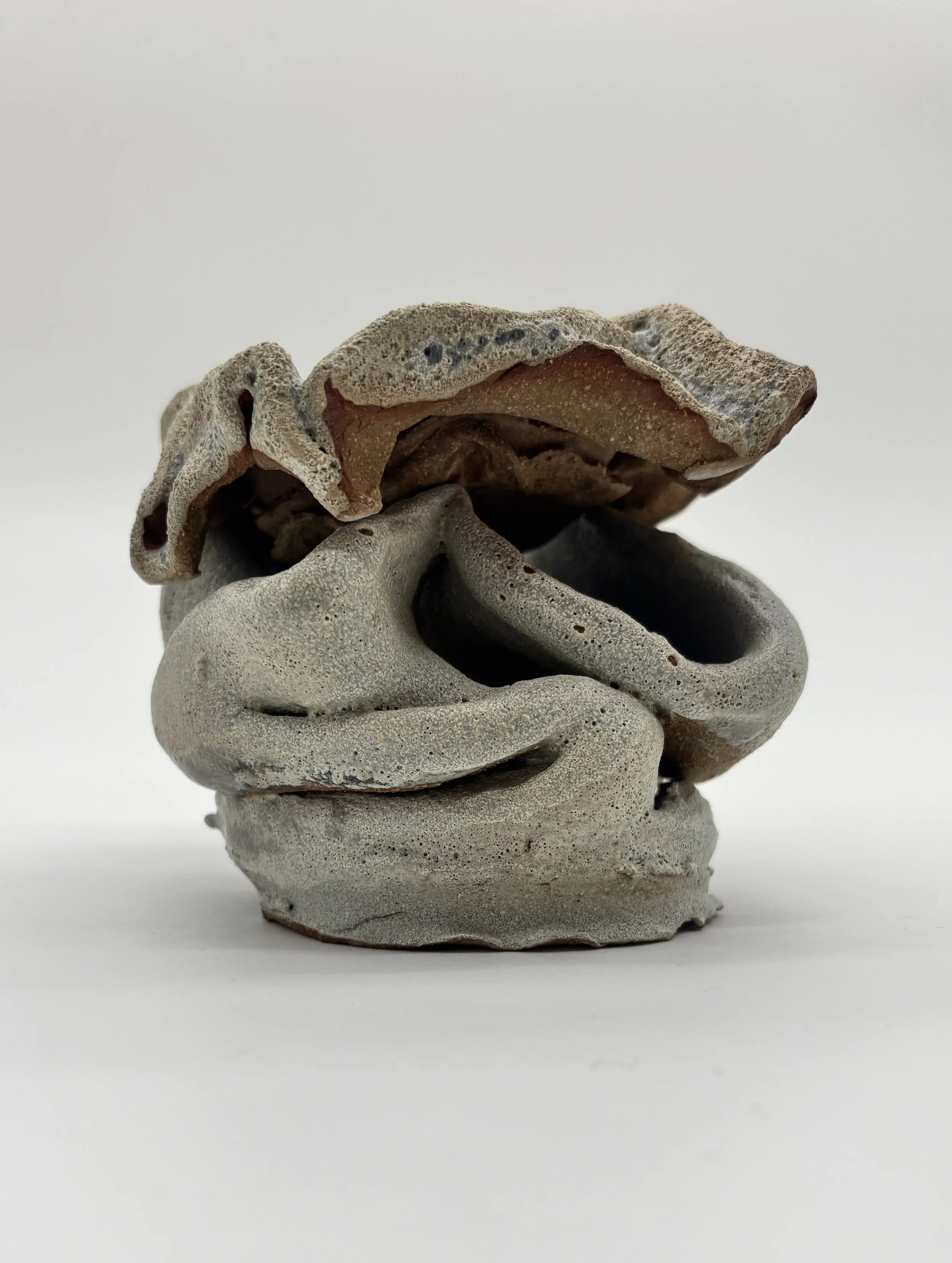 A collection of natural rocks and stones, with various textures and colors, arranged on a white surface.