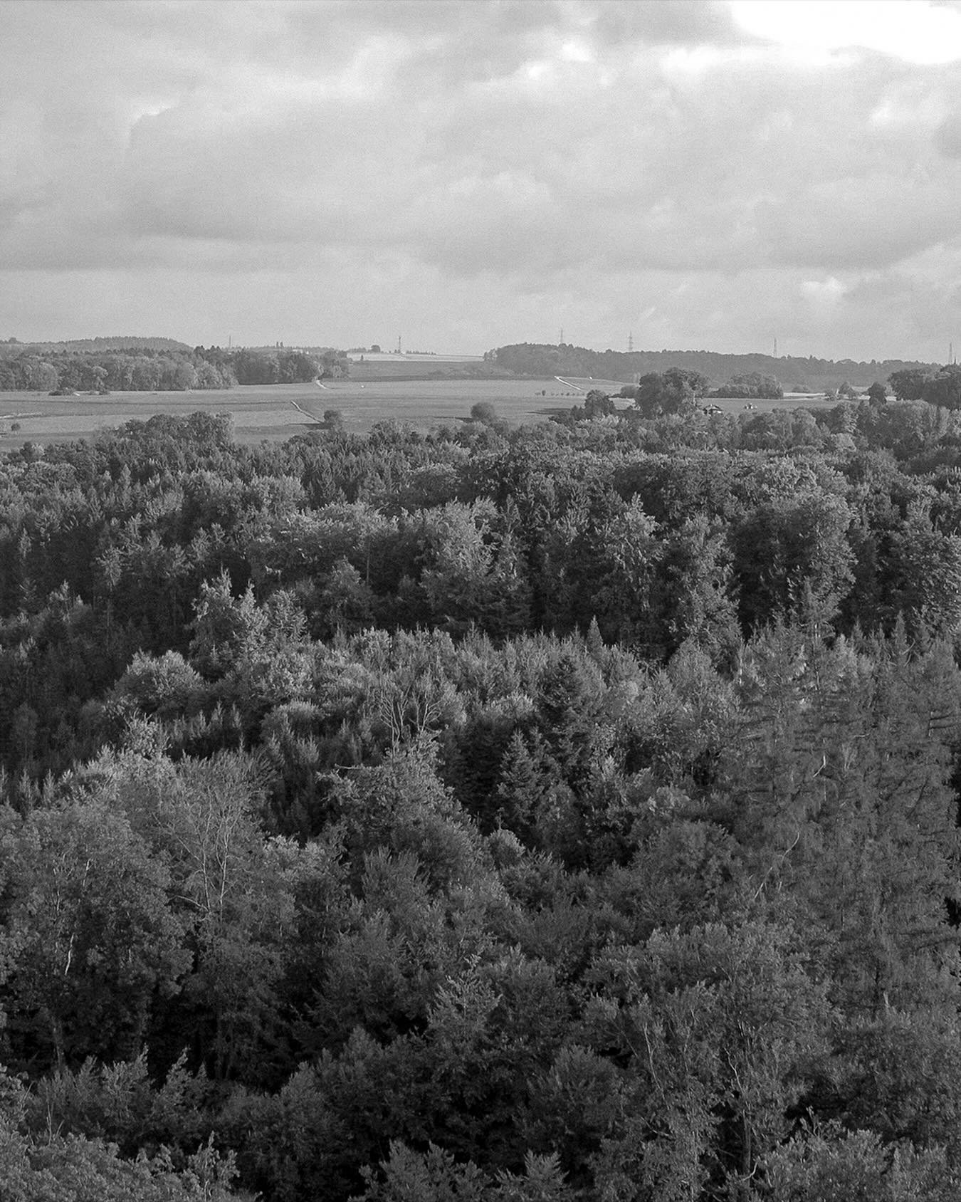 Comme certains le savaient peut-&ecirc;tre, et s&rsquo;en r&eacute;jouissaient, nous avions pr&eacute;vu un Afterwork-Raclette ce vendredi 9 janvier pour d&eacute;buter l&rsquo;ann&eacute;e comme il se doit 🧀

Cependant, face au drame de Crans-Monta