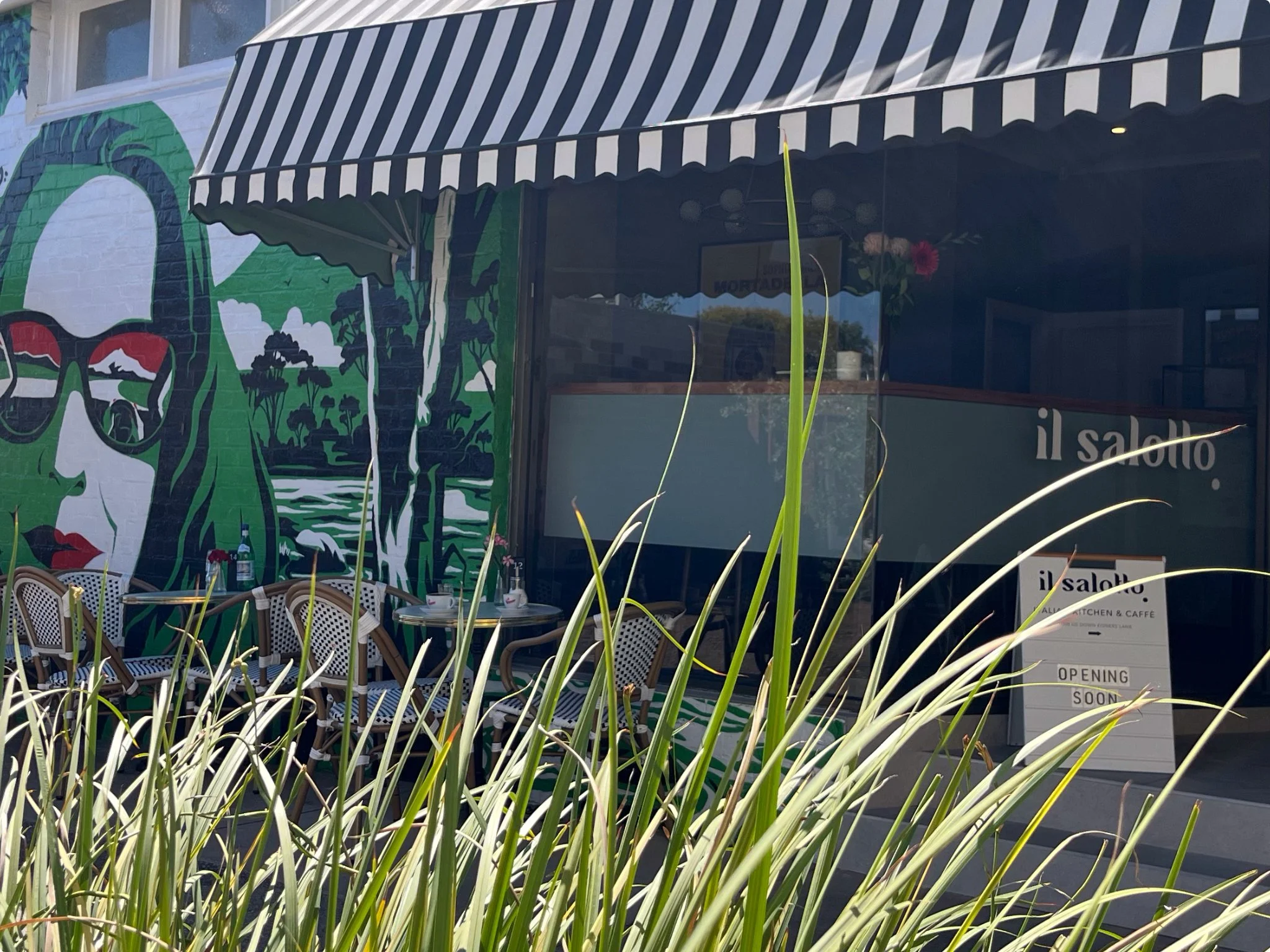 front garden.jpg