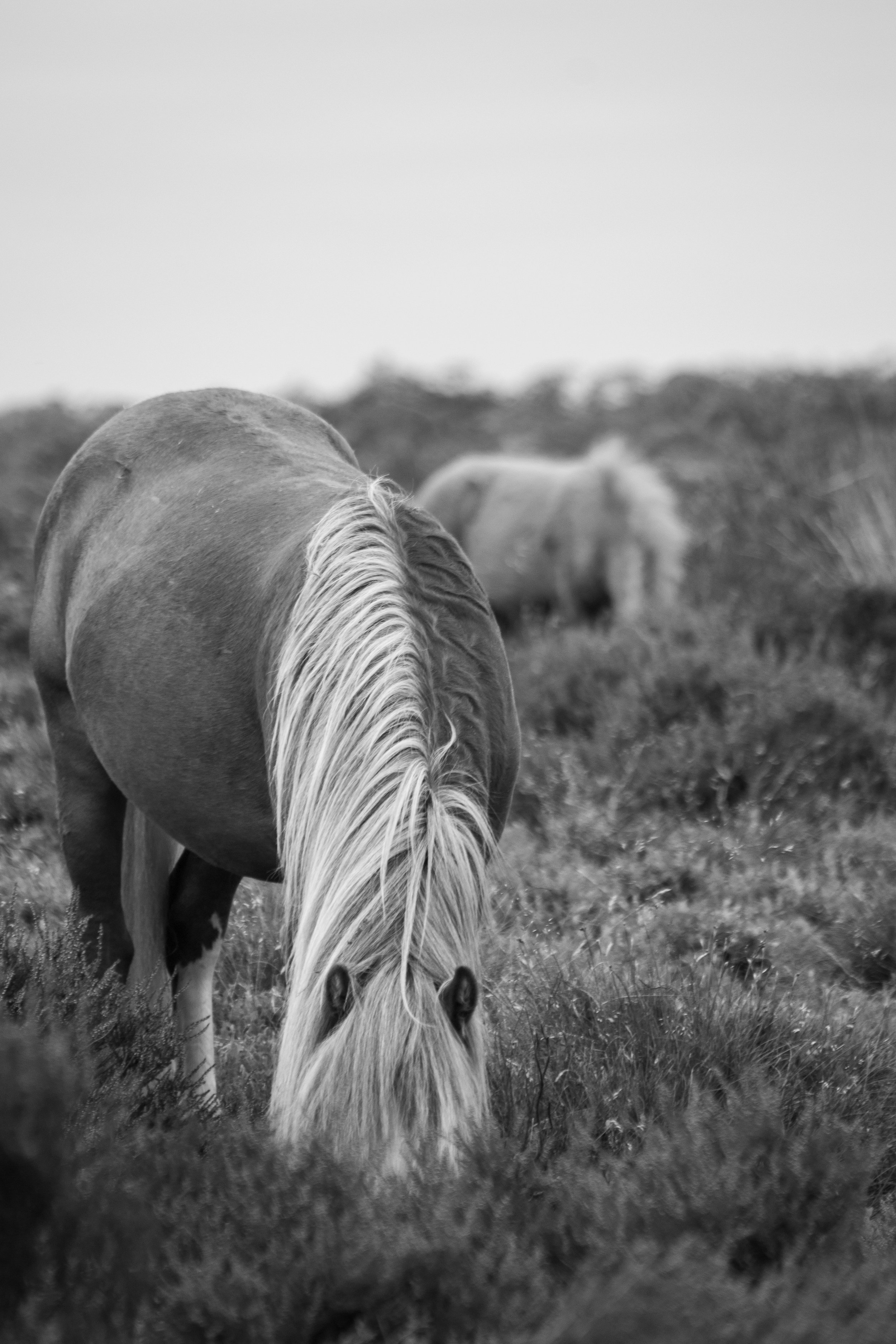 DSC_0605.jpg