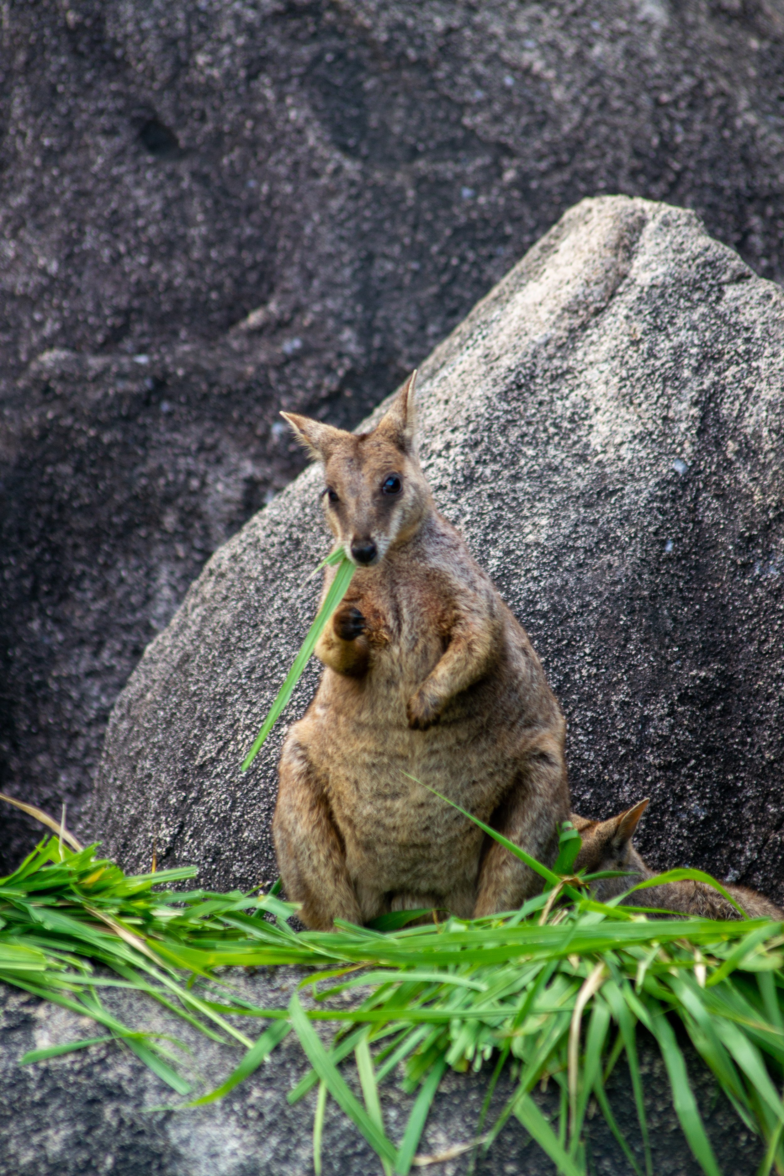 Australia | East Coast | 2023