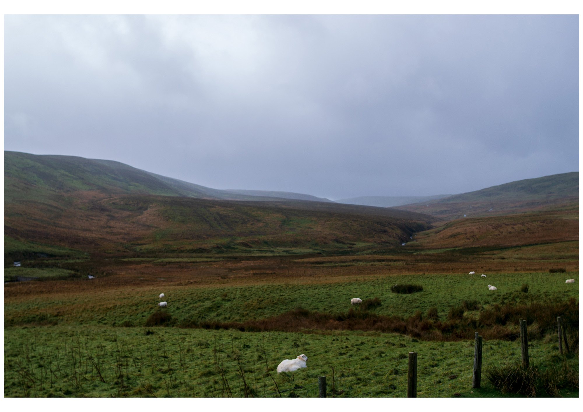 SarahMartindale_image14.jpg