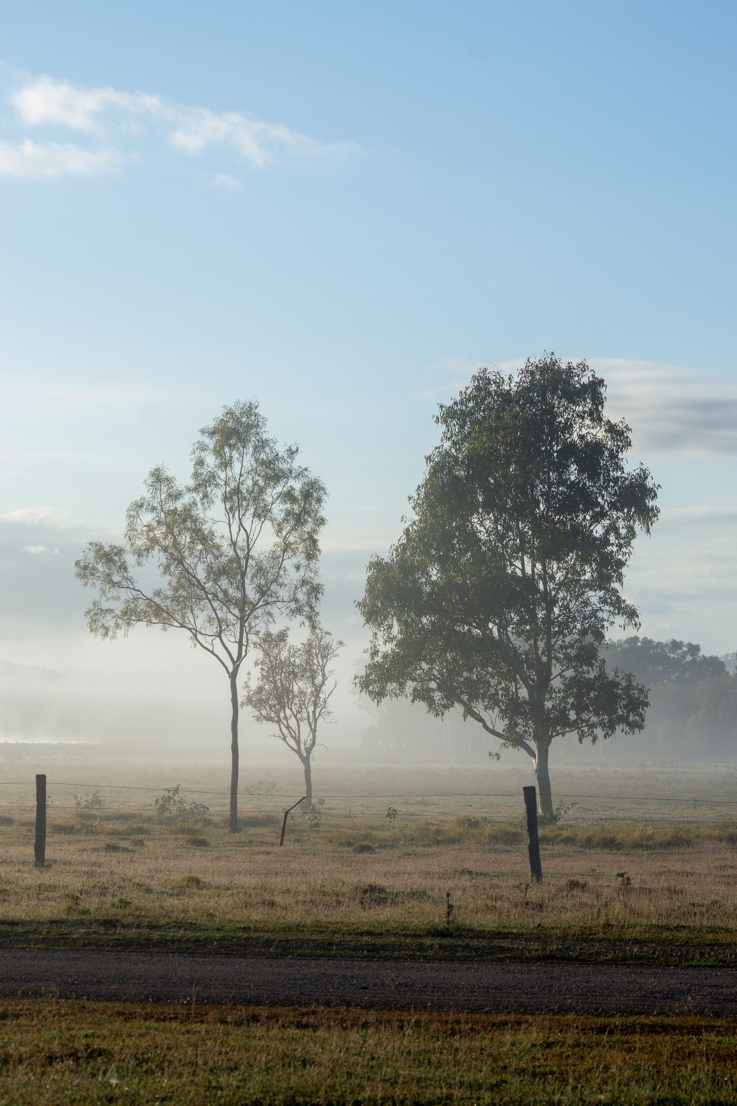 Australia | East Coast | 2023
