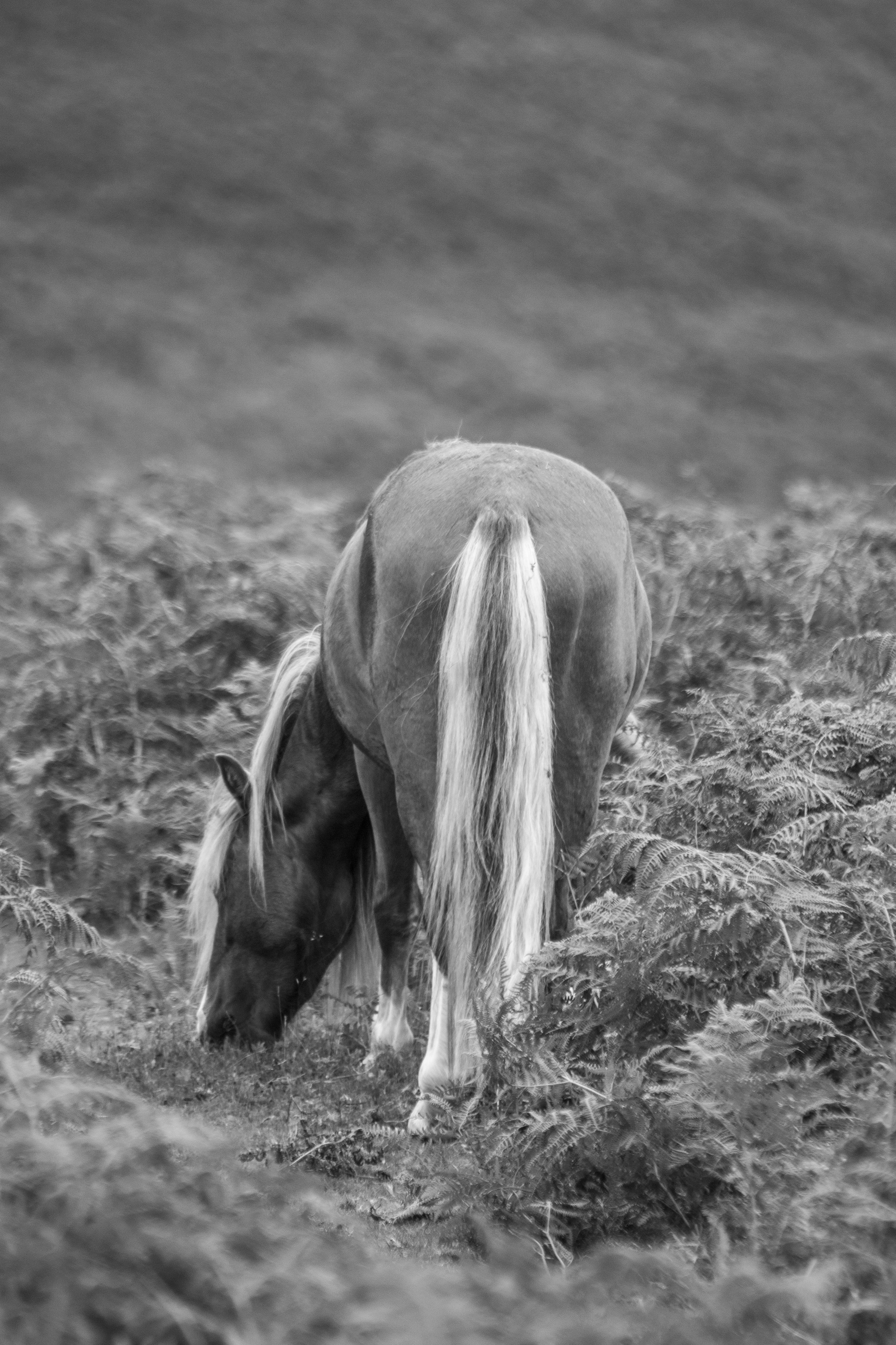 DSC_0456.jpg