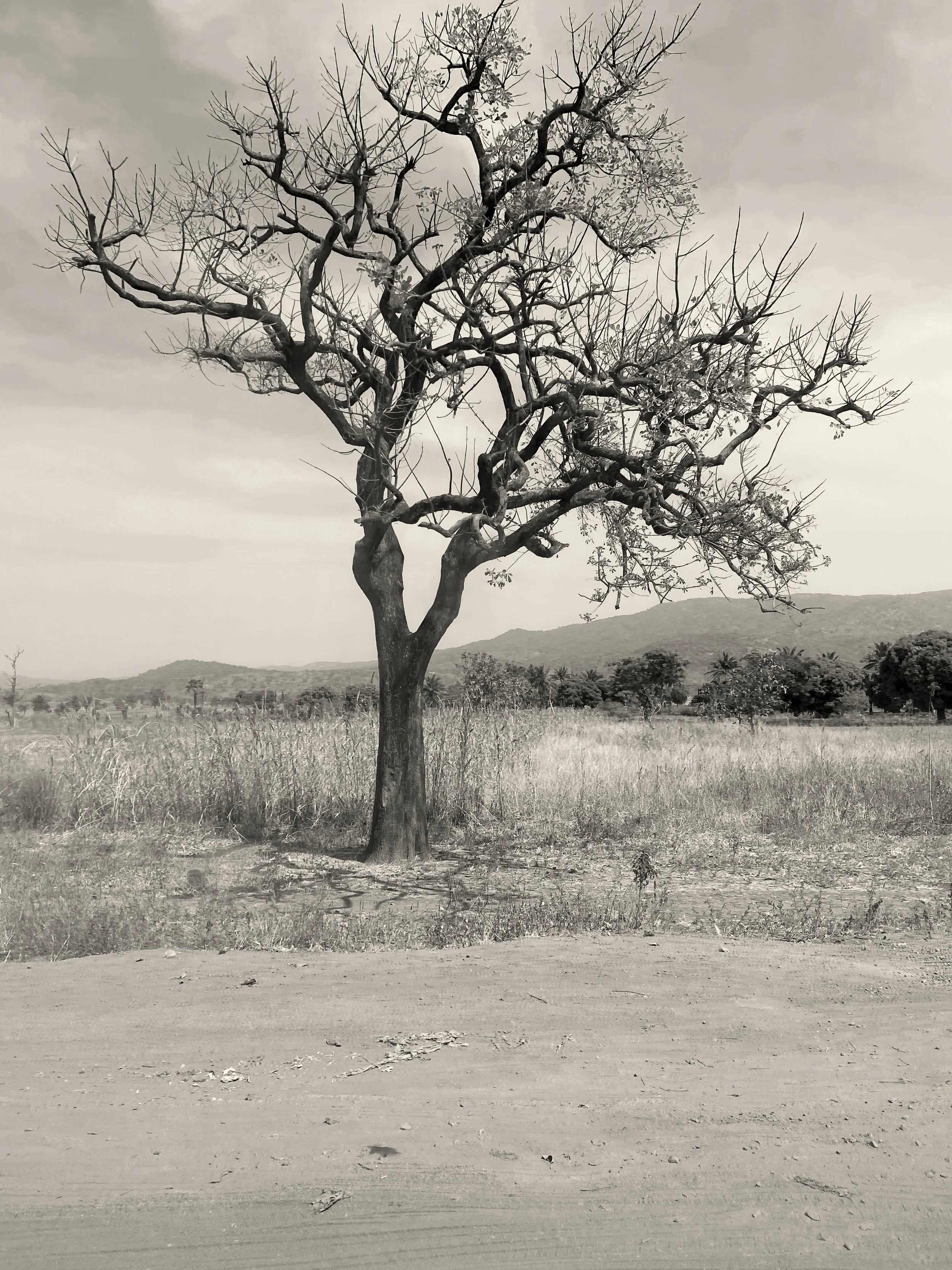 call to river photo 4 ojima abalaka.JPG