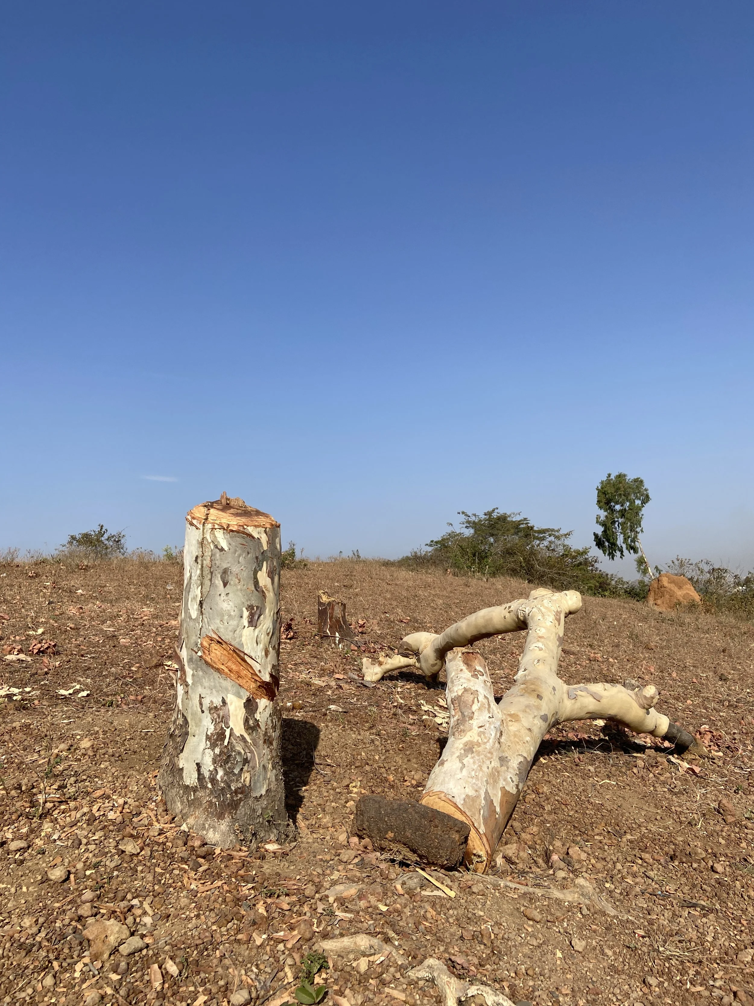 call to river photo 6 ojima abalaka.JPG