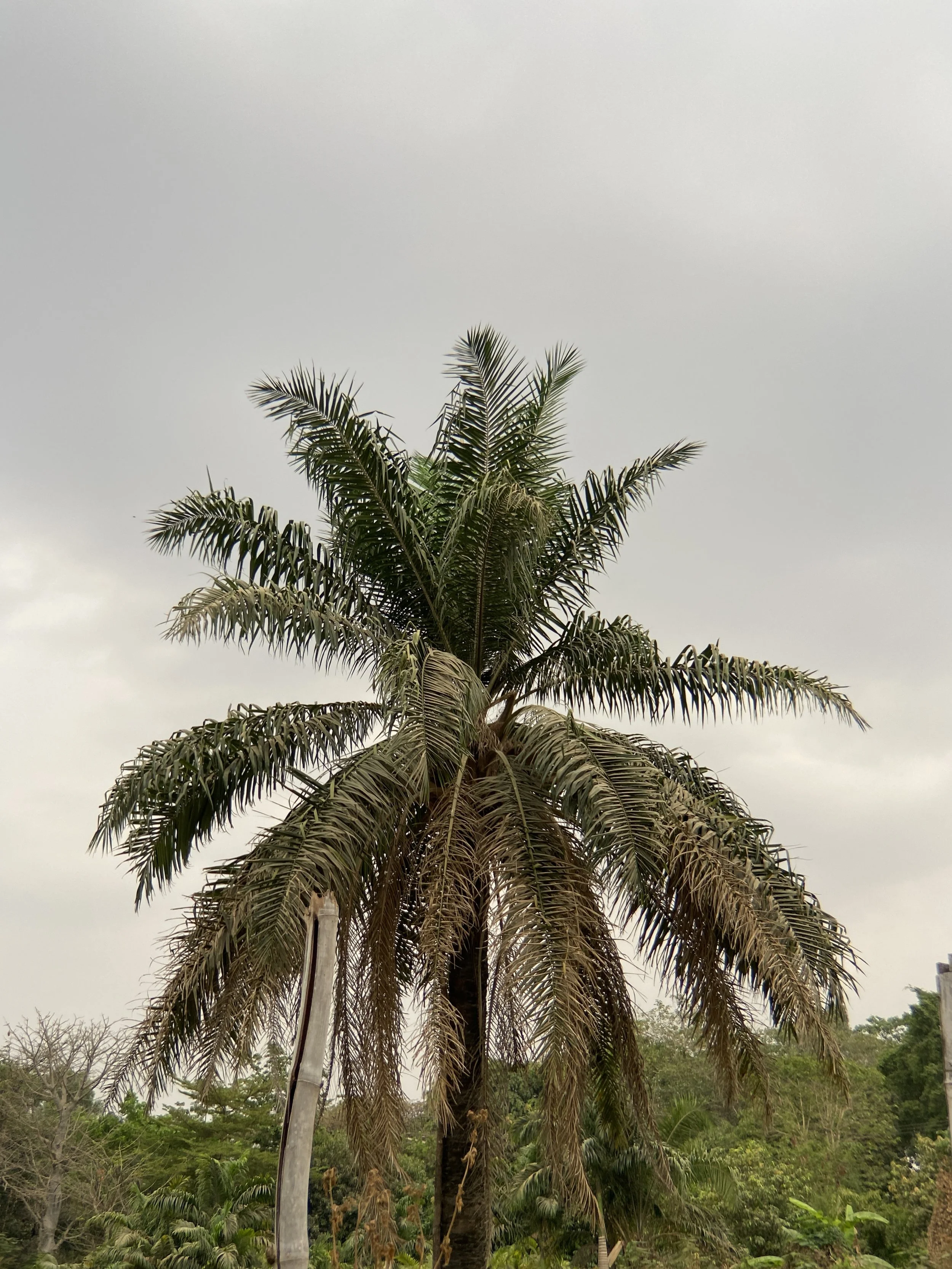 call to river photo 8 ojima abalaka.JPG