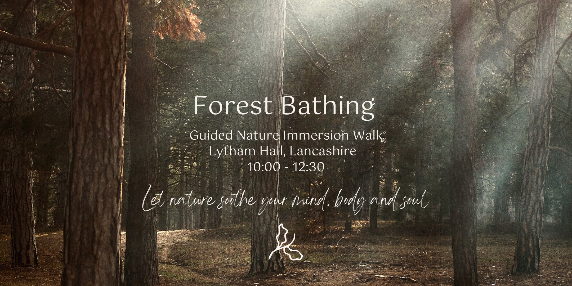 Forest Bathing at Lytham Hall