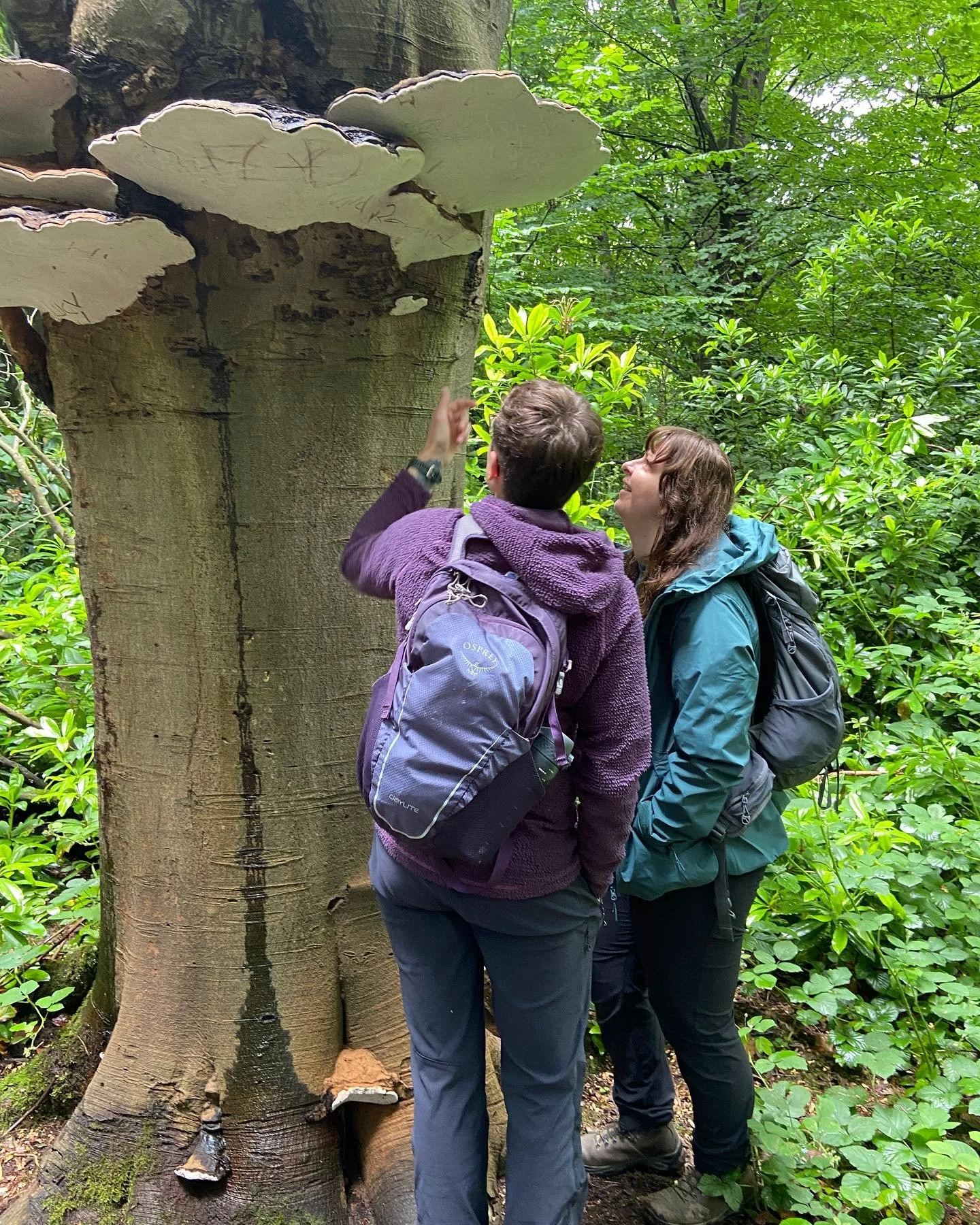 Thank you to the forest bathers who joined me in the forest on Saturday ☺️

As we shared homemade cookies and tea the group told me they felt grounded and calm, playful and nostalgic 🌳

Always in awe of how the forest knows what we need 

There are 