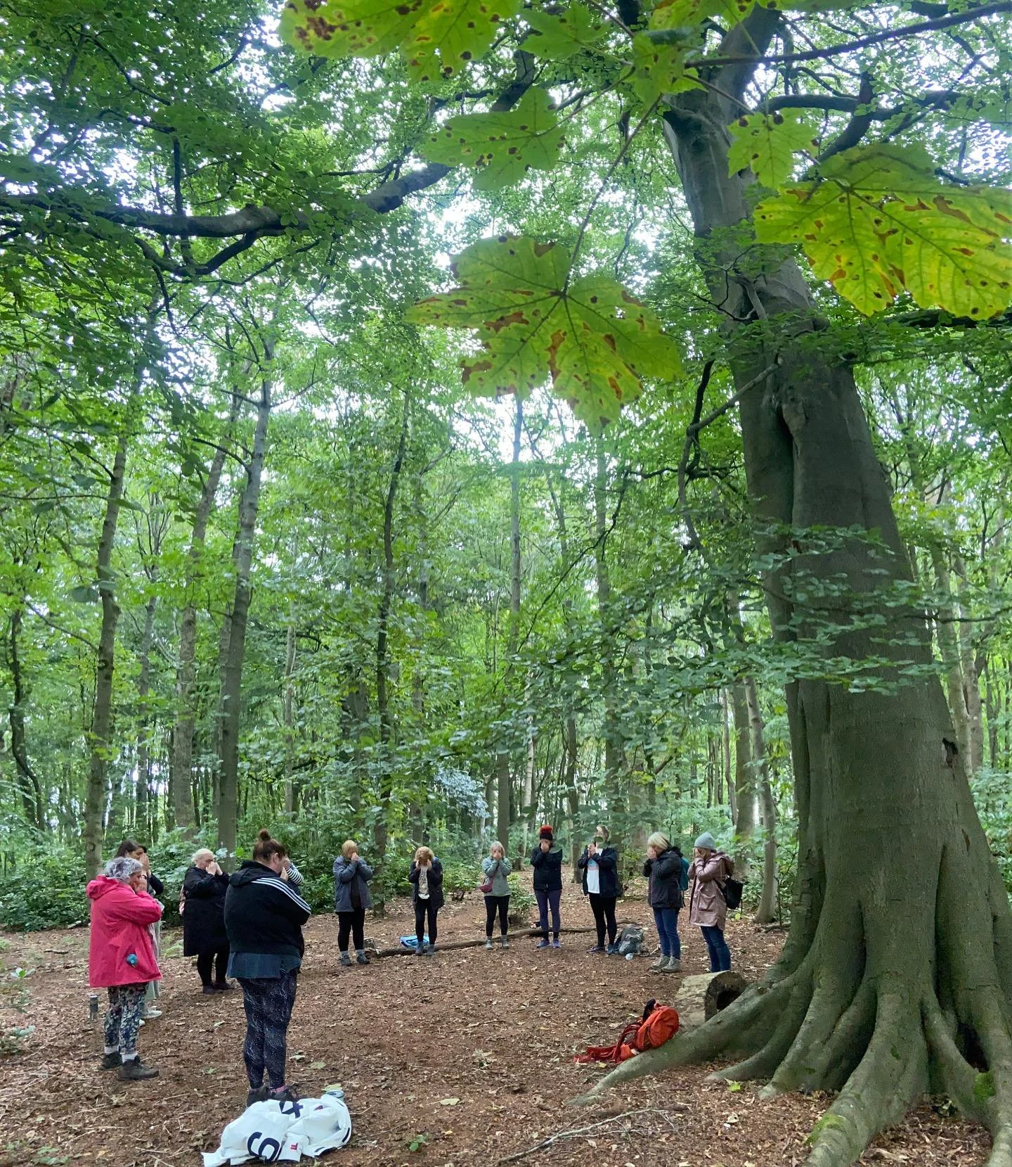 ✨🍂Forest bathing magic yesterday 🍂✨

Nature offered us permission to let go, be playful, rest in our authenticity, connect with our loved ones and disconnect from the modern world

We found a toad hunkering down in its little hole,  I love how the 