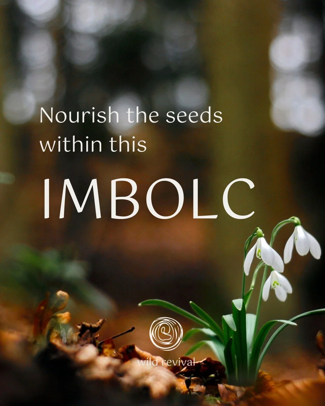 We are still being called to honour the wintery urge to slow down this season &ndash;  it's always around this time I notice that I am wishing the time away and am impatient for the more active energy of Spring. 

If you are feeling the same remind y