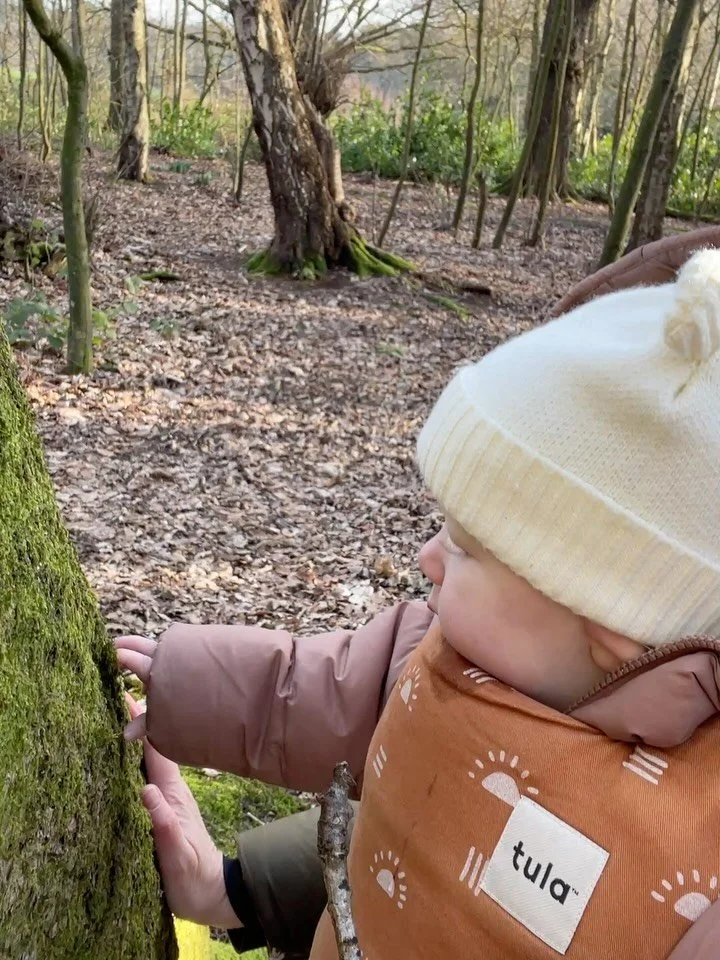 Capturing special moments from our forest walk this week ✨

As we walk I can see the wonder in Willows little eyes as she look up into the canopy and strokes the squishy moss on the oak tree. It is just magical to witness. 🥰

Children have an innate