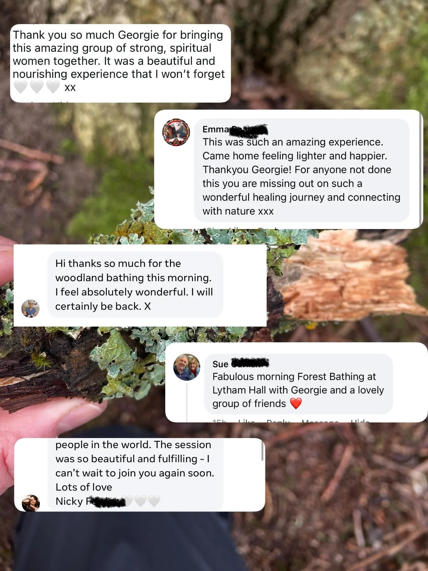 It's always special when forest bathers feel called to share their experience

It's a lovely reminder of why we gather, why we listen and why the beautiful practice matters

I hope their reflections offer you a quiet invitation to step into the fores