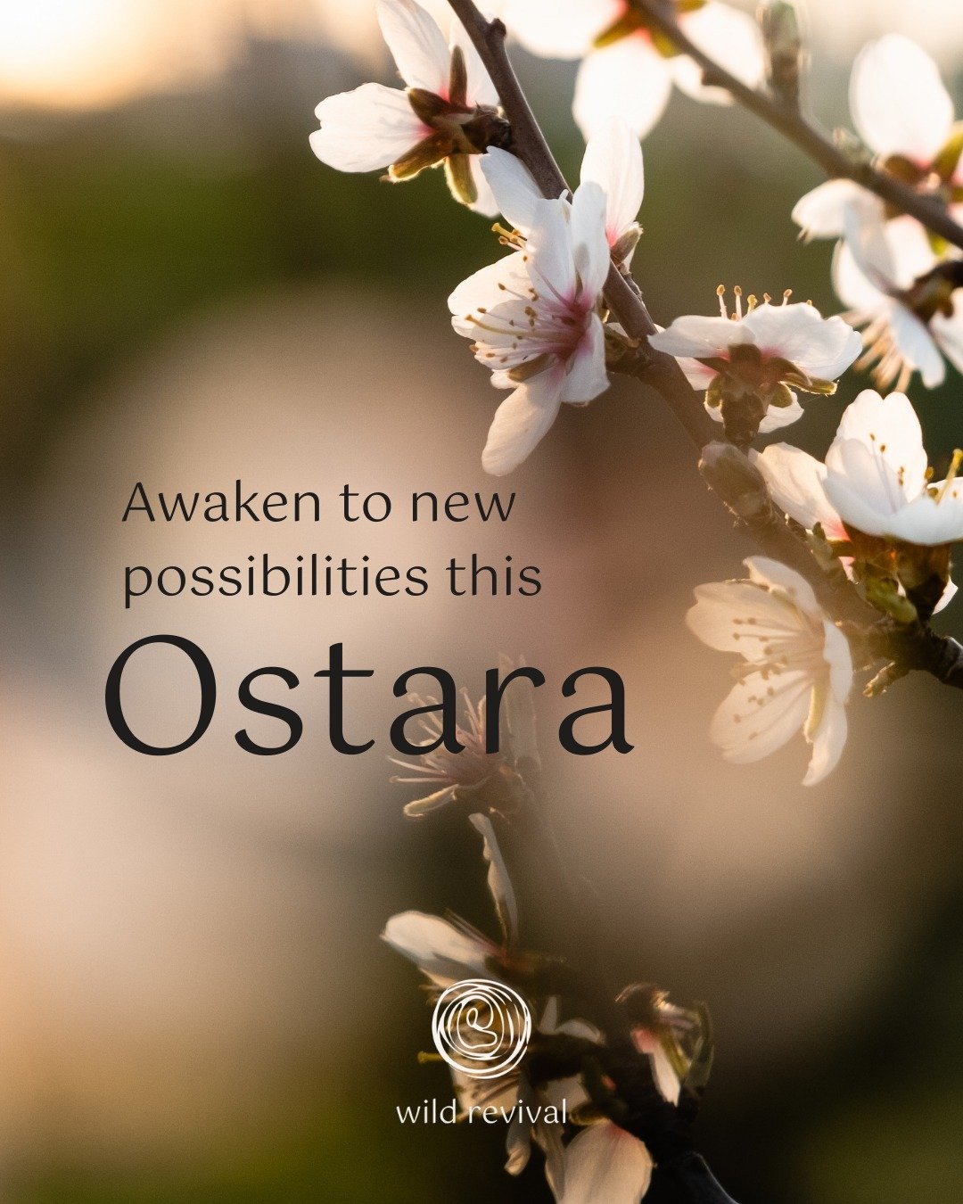 Wishing you all a Happy Spring Equinox 🌸

I hope you are able to find a sliver of peace and reflection today, even if its just a couple of minutes in your garden noticing the signs of Spring. (And if you have a little longer, I've shared a few simpl