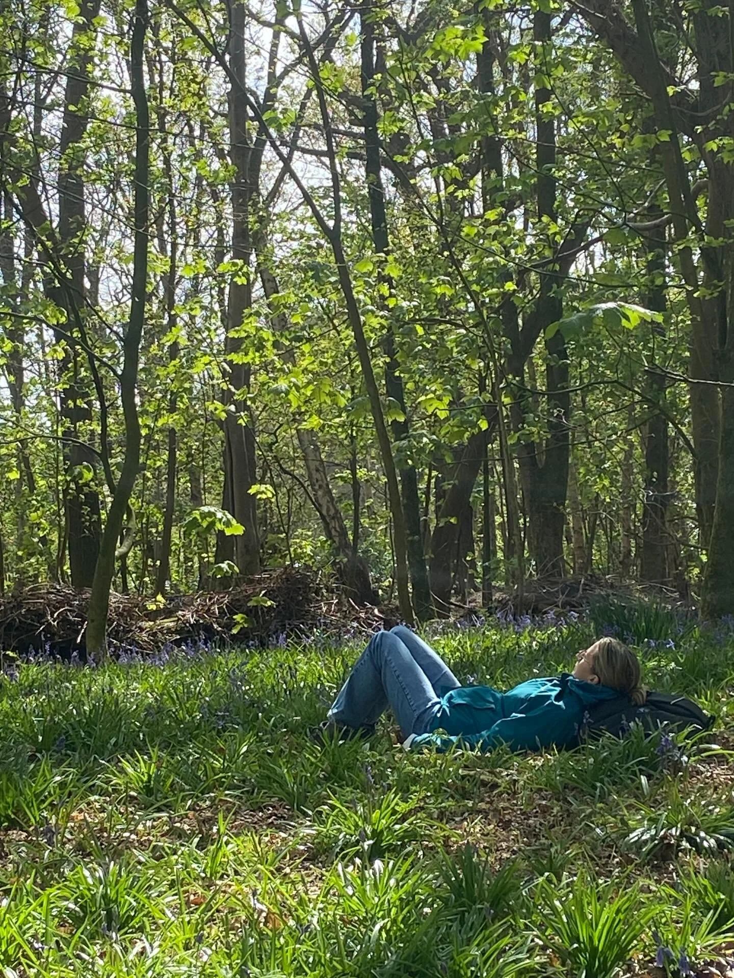 I love how the forest doesn't ask anything of you.🌳

There&rsquo;s no agenda. No destination. No steps to count. Just a simple invitation to arrive fully, softly, and exactly as you are.

Forest bathing is the practice of being in nature. Not doing.