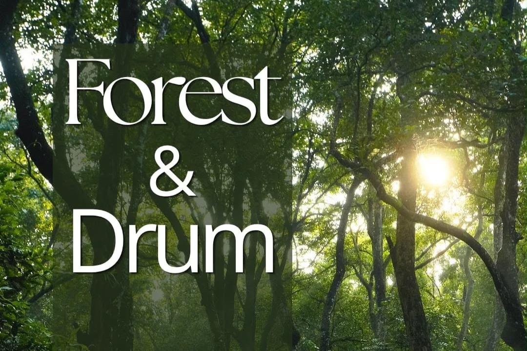 Forest and Drum