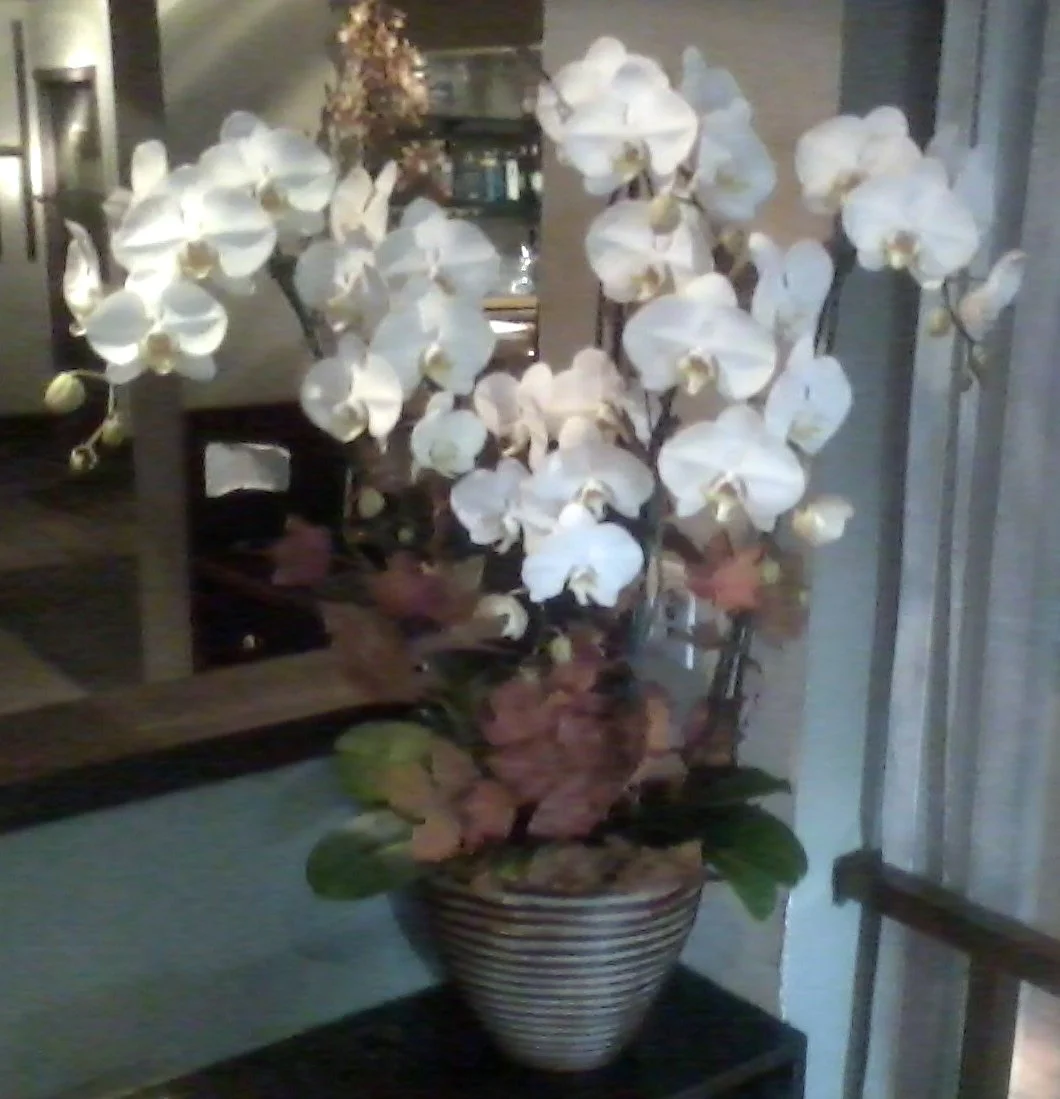 Restaurant Florist-Interior Scapes -events by Julie Jenkins (45).jpg